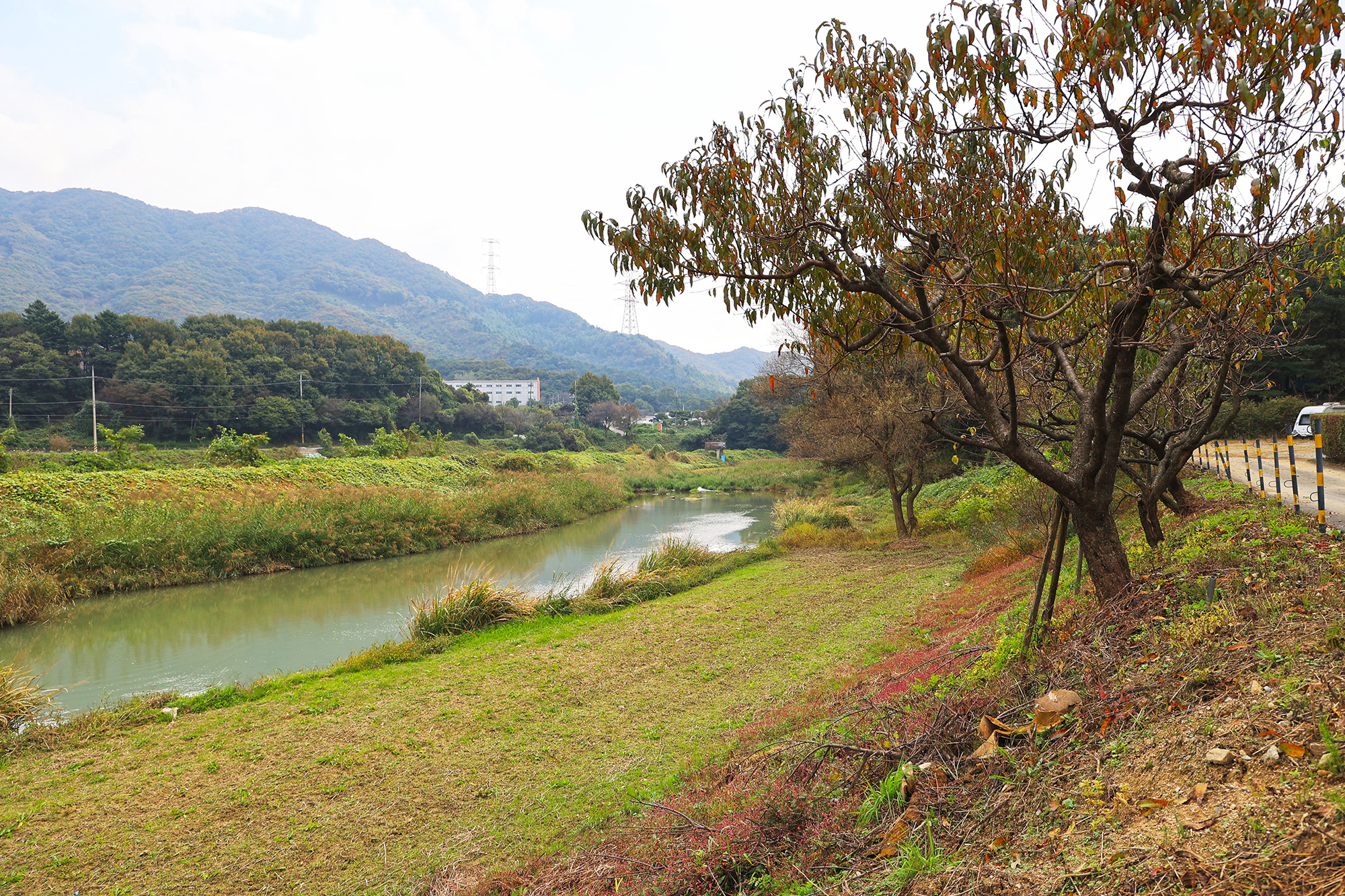 주원캠핑장 이미지