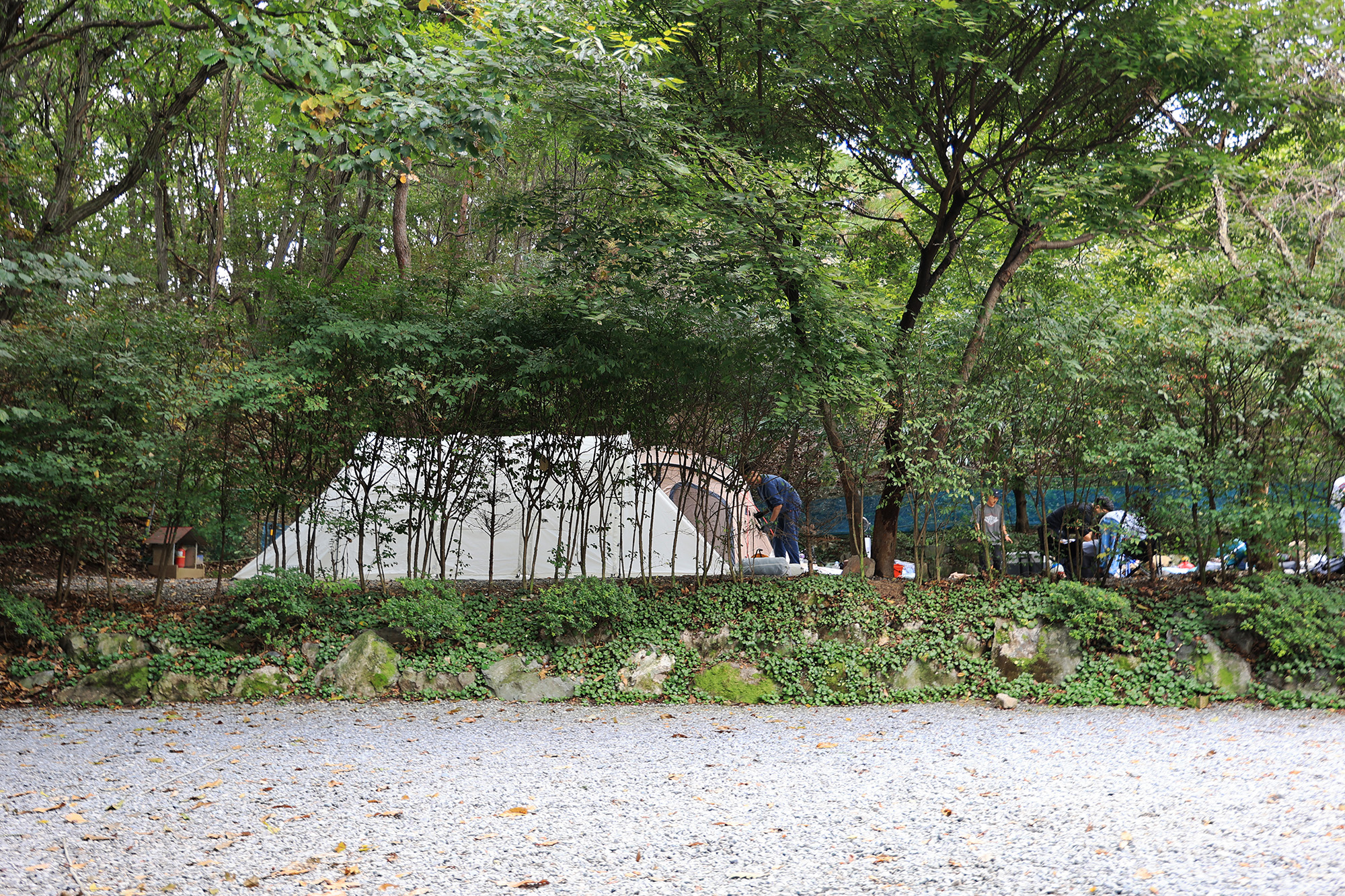 주원캠핑장 이미지