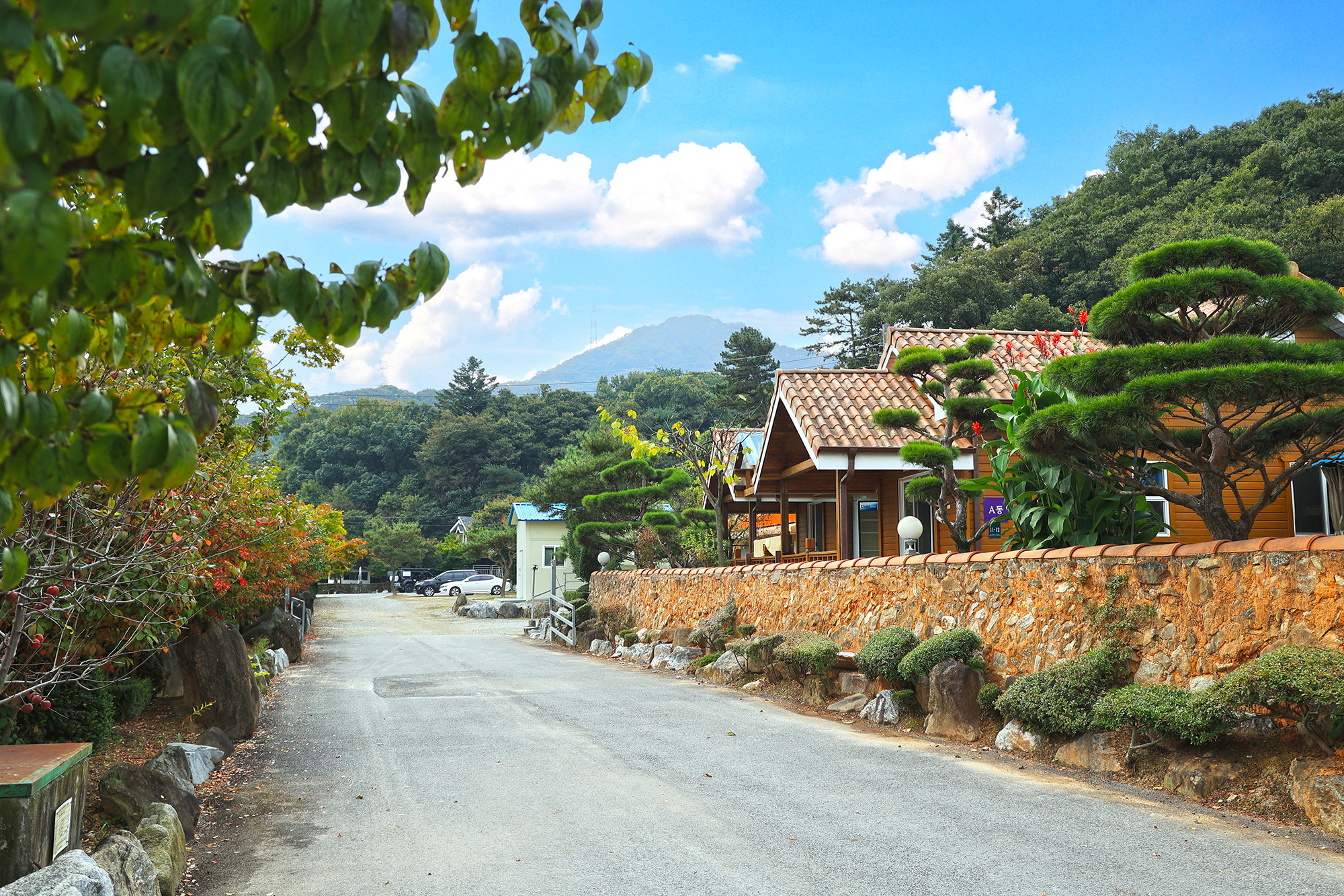 주원캠핑장 이미지