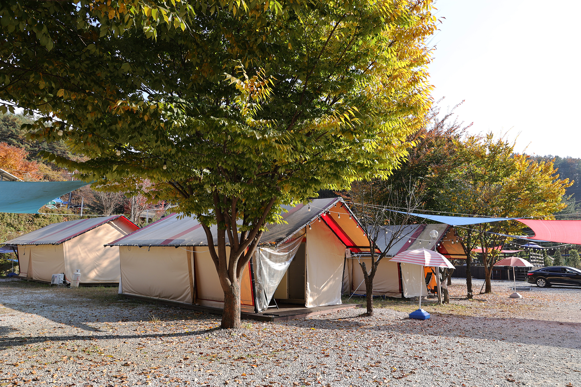 썬오브글램핑 이미지