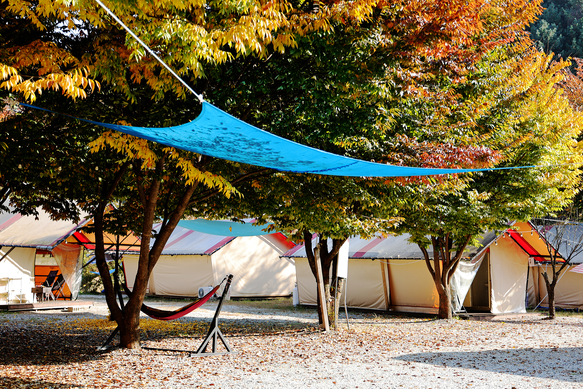 썬오브글램핑 이미지