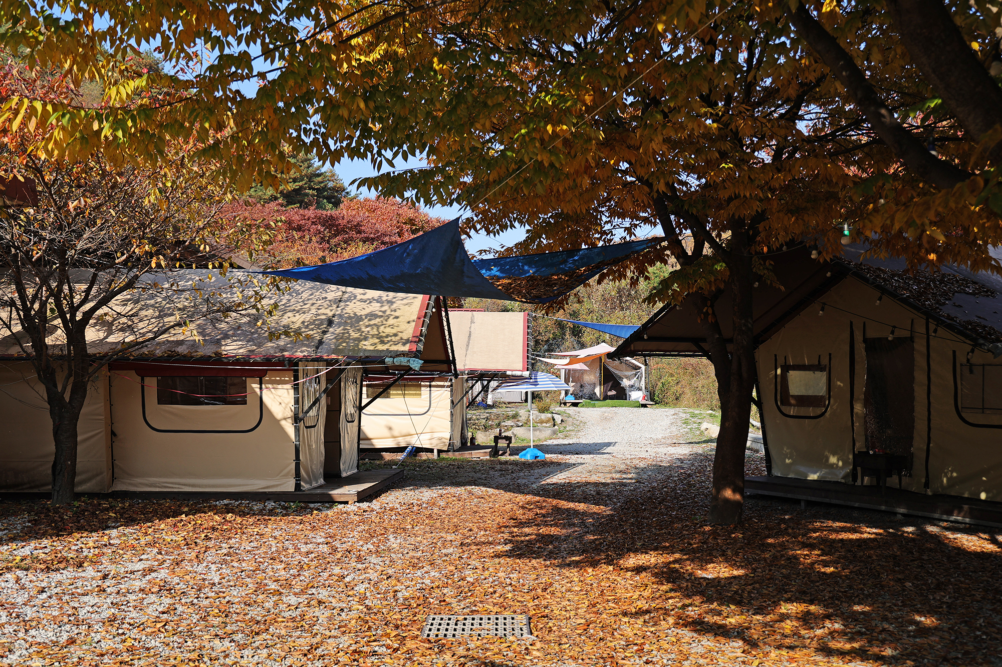 썬오브글램핑 이미지