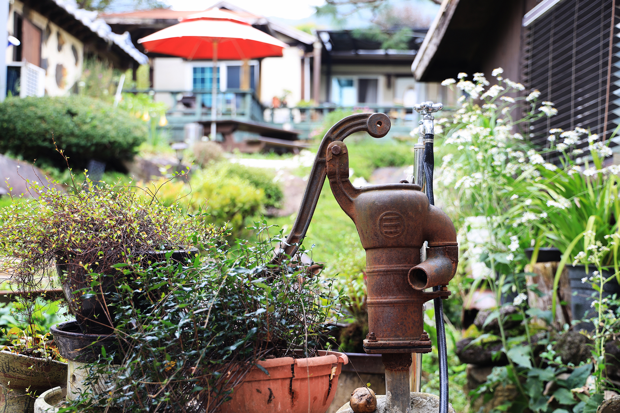 양평온누리캠핑장 이미지