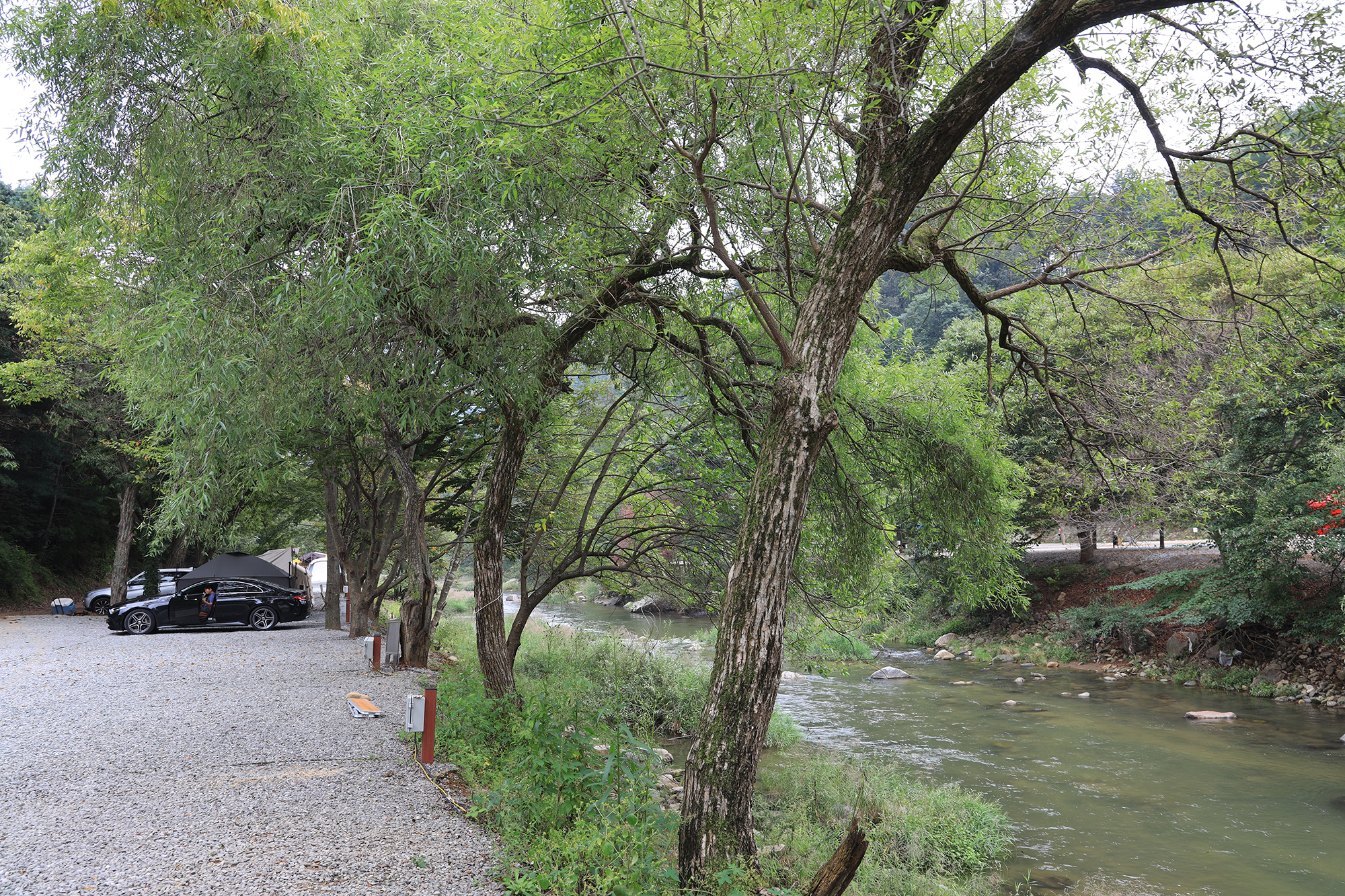 양평온누리캠핑장 이미지
