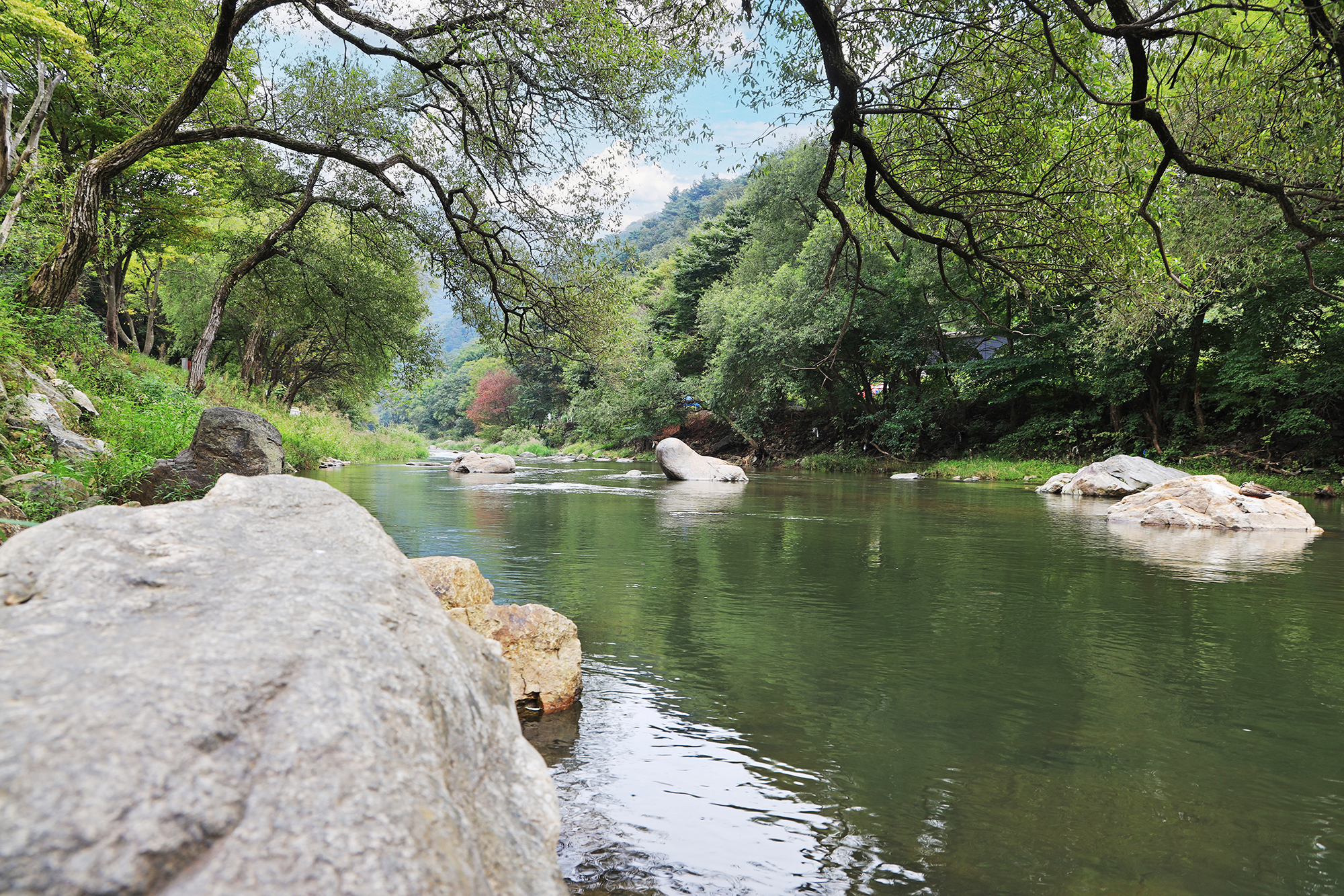 양평온누리캠핑장 이미지