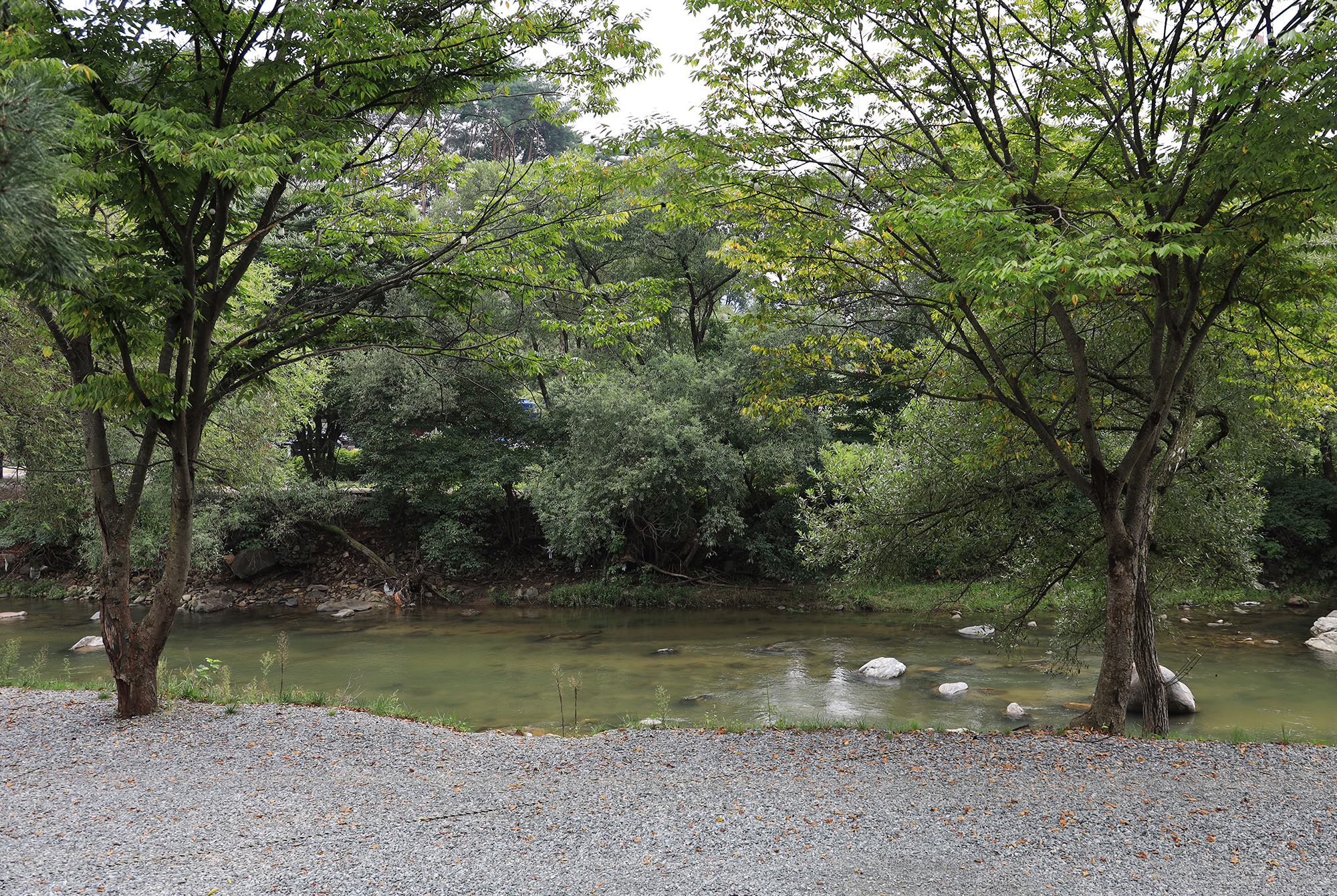 양평온누리캠핑장 이미지