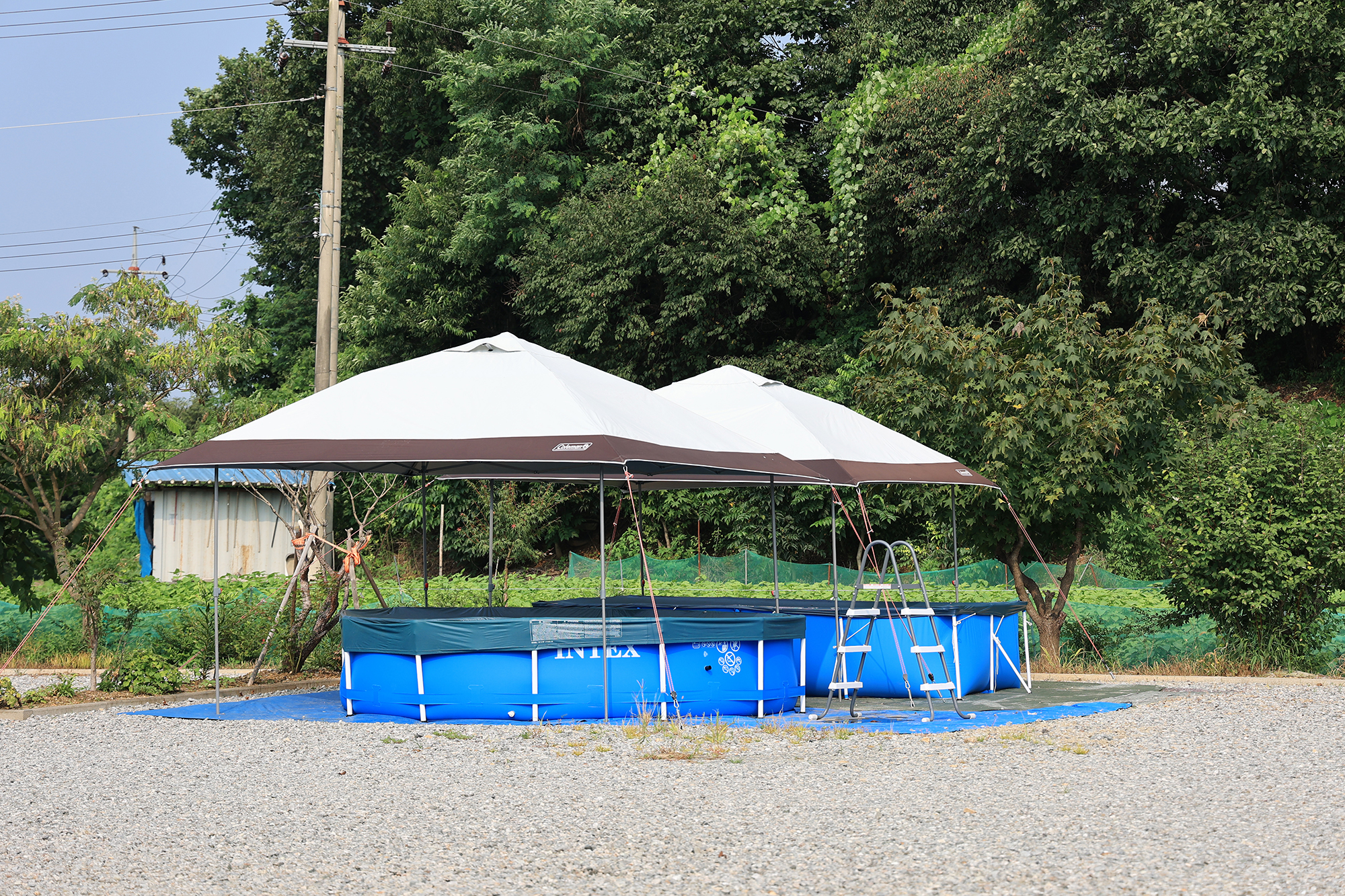 두부삼촌캠프 이미지