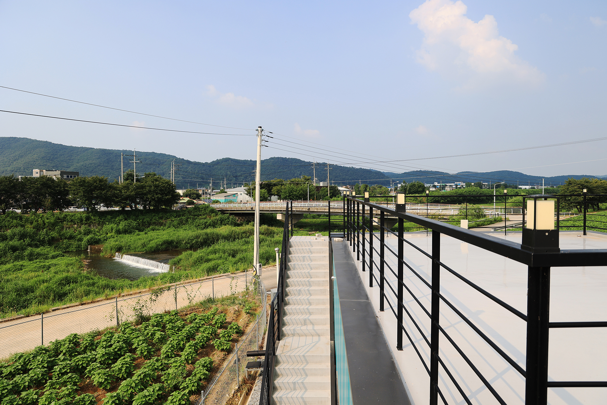 두부삼촌캠프 이미지