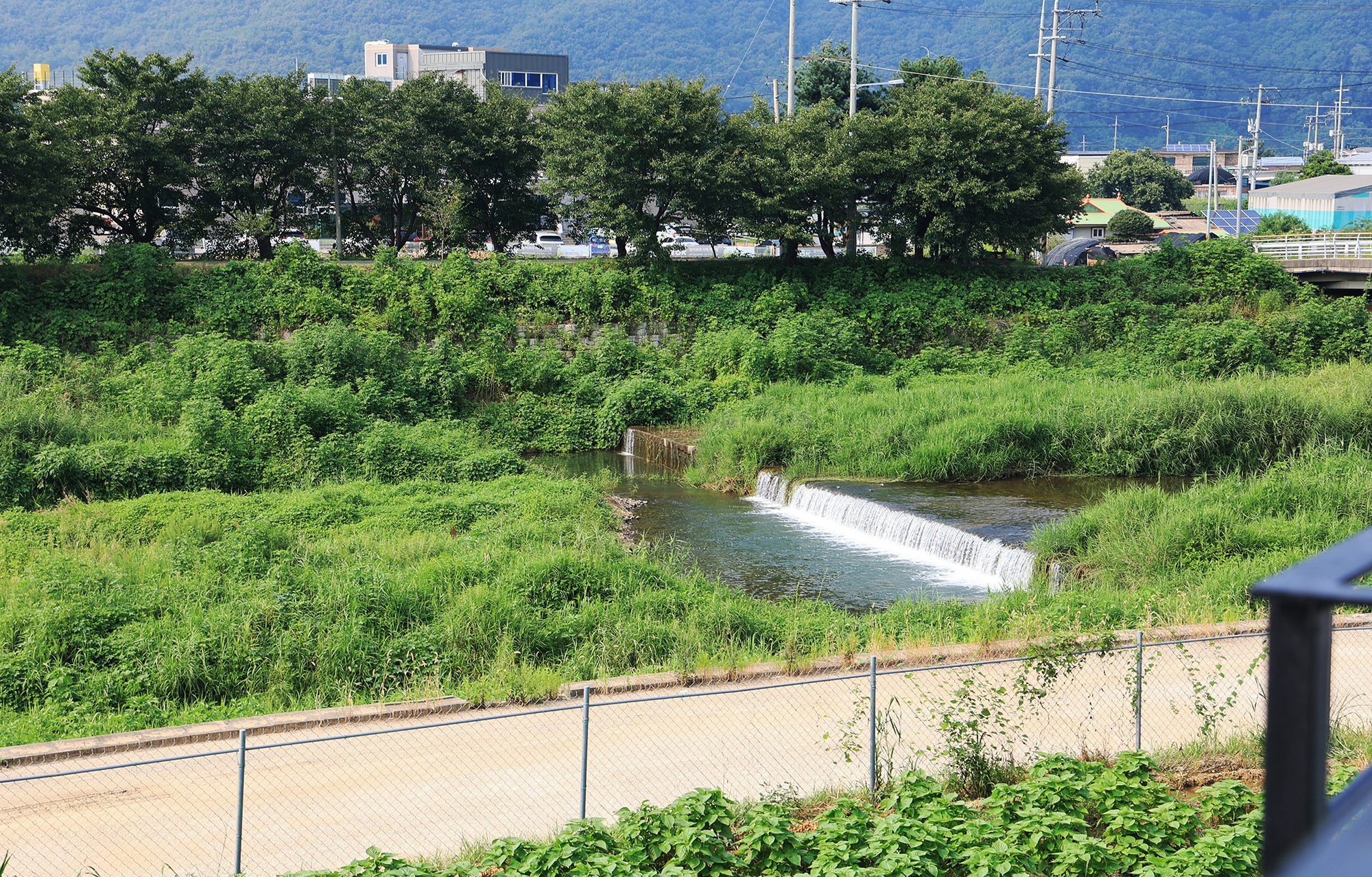 두부삼촌캠프 이미지