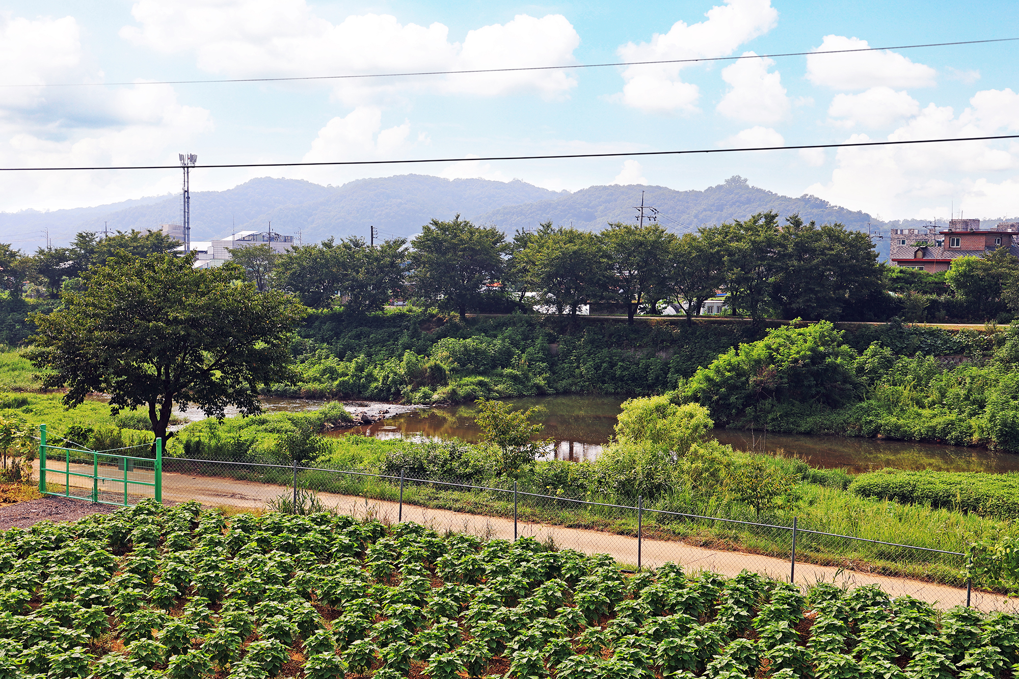 두부삼촌캠프 이미지