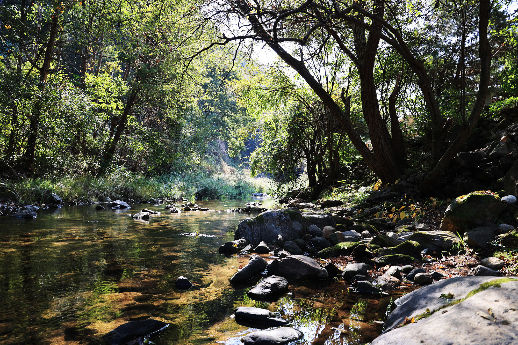 아린 글램핑 이미지