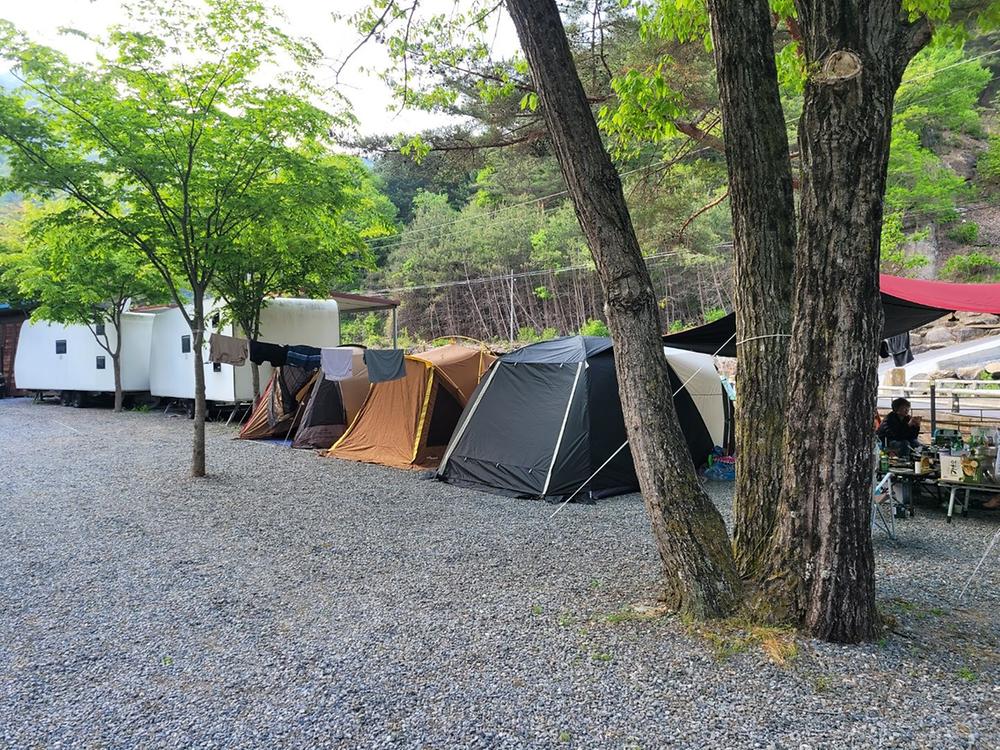 영월 엄둔밸리 계곡캠핑장 