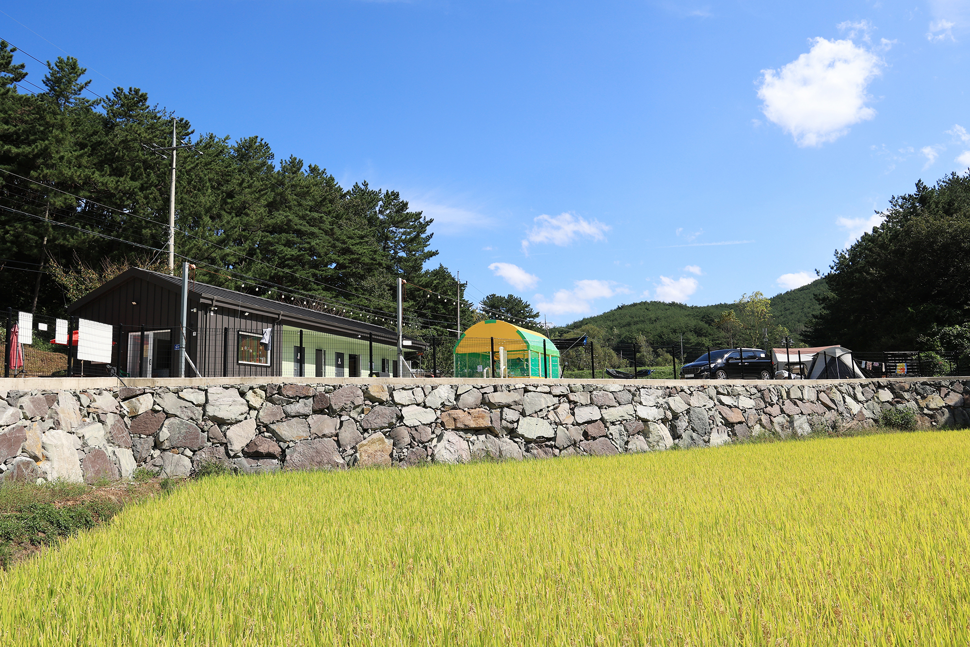 호노골 캠핑장 이미지