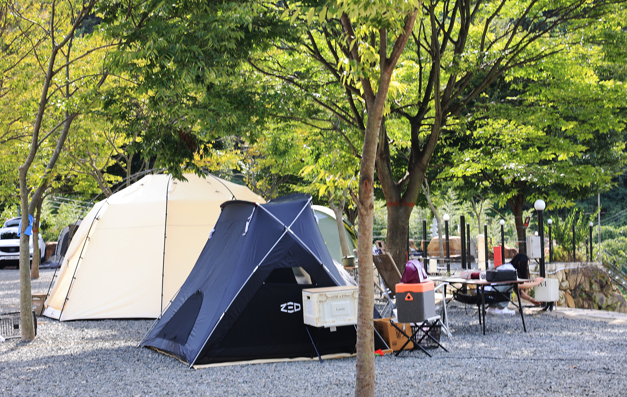 옥천1382 이미지