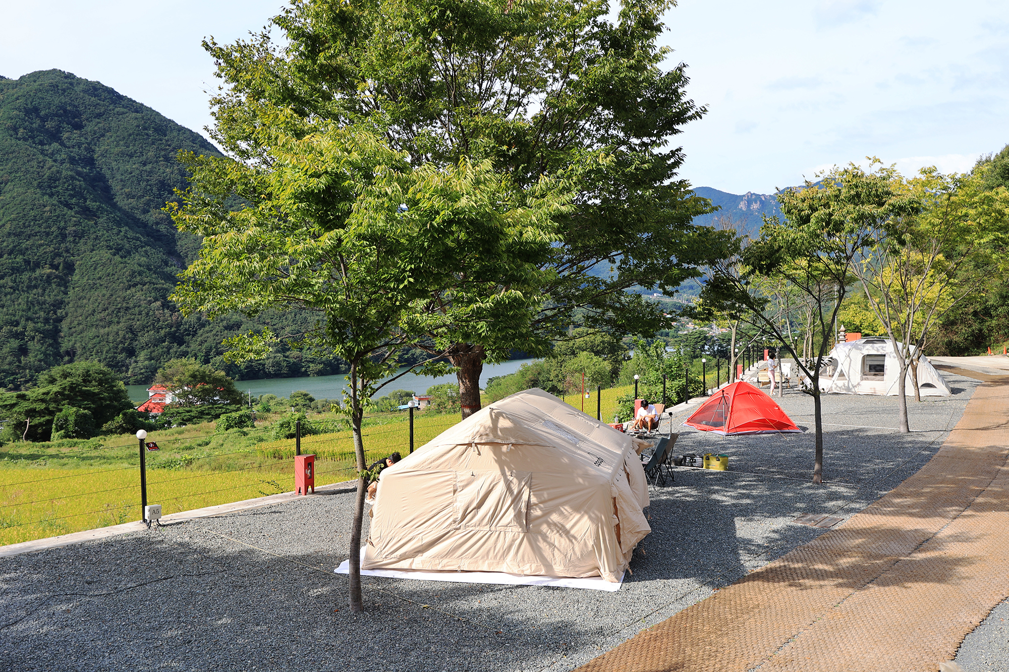 옥천1382 이미지