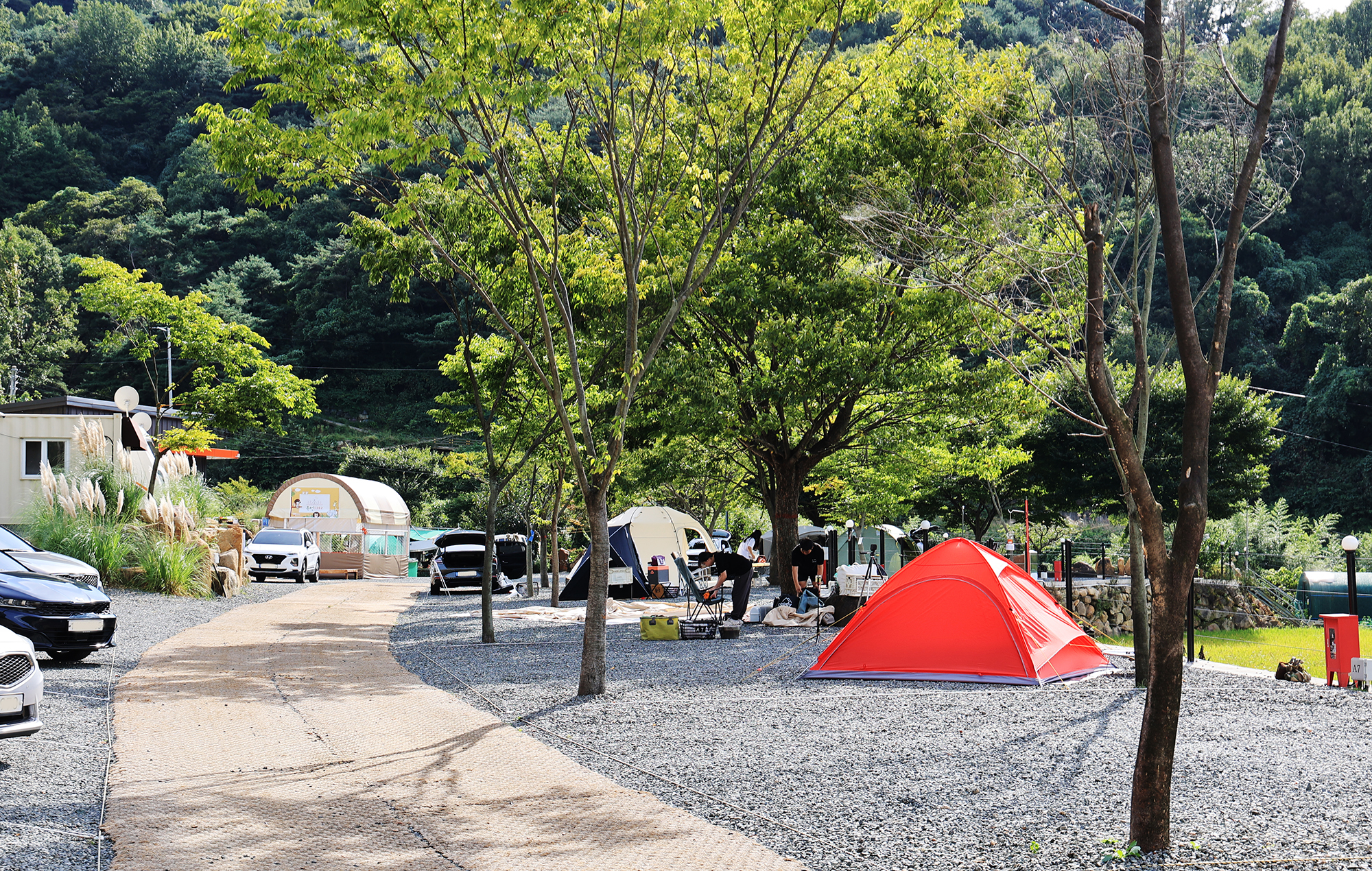 옥천1382 이미지