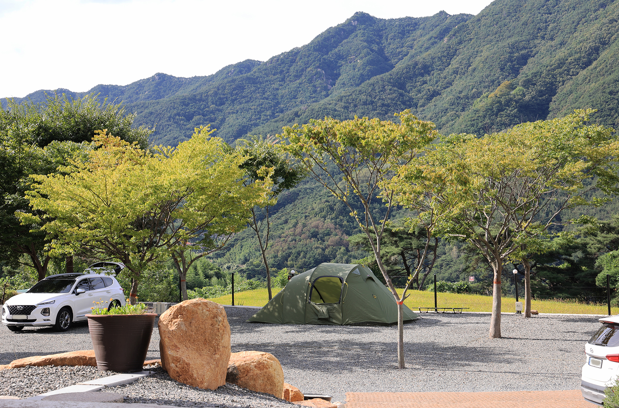 옥천1382 이미지