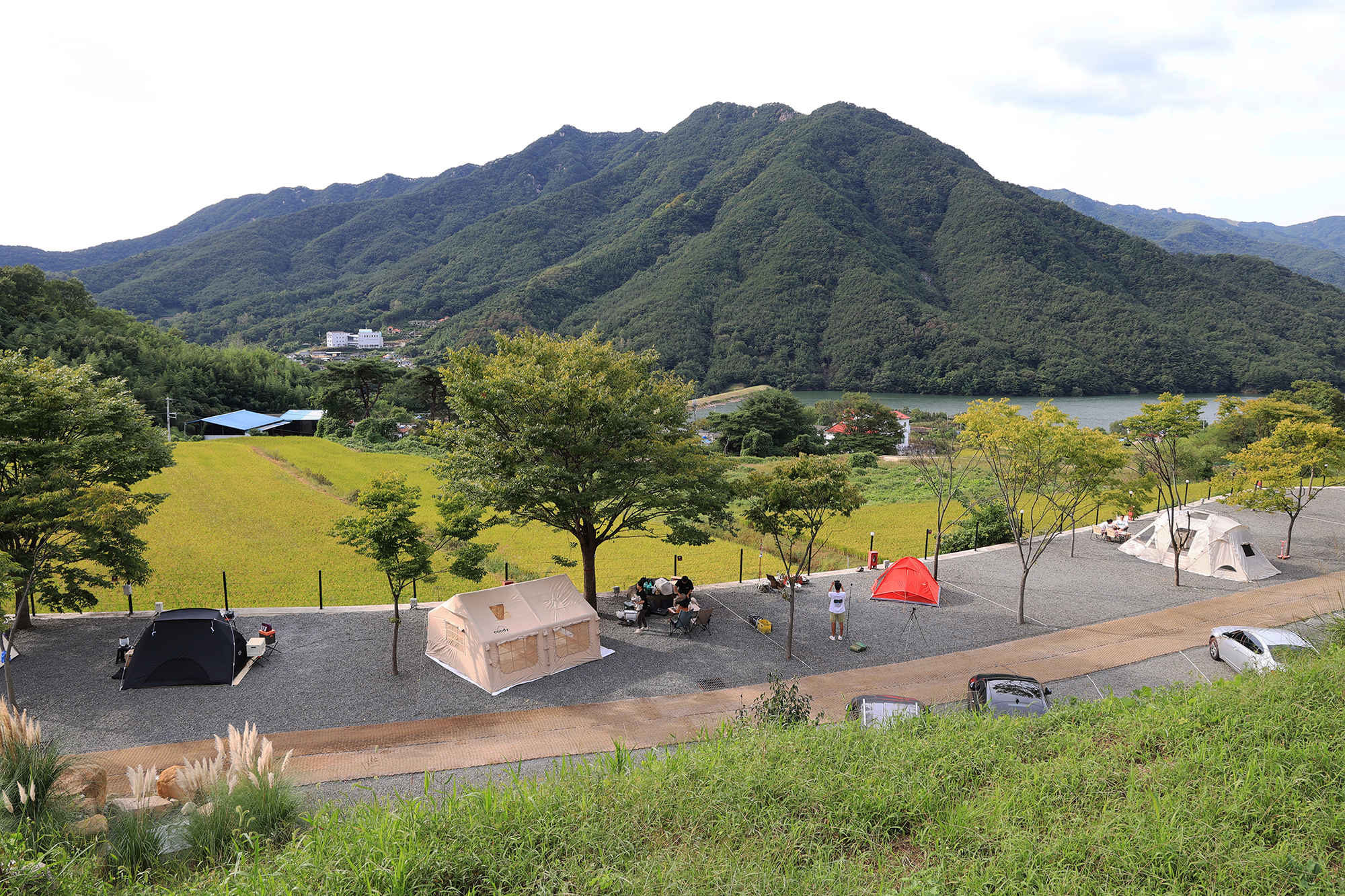 옥천1382 이미지