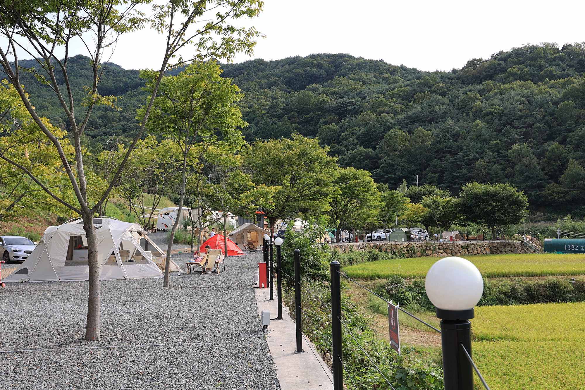 옥천1382 이미지