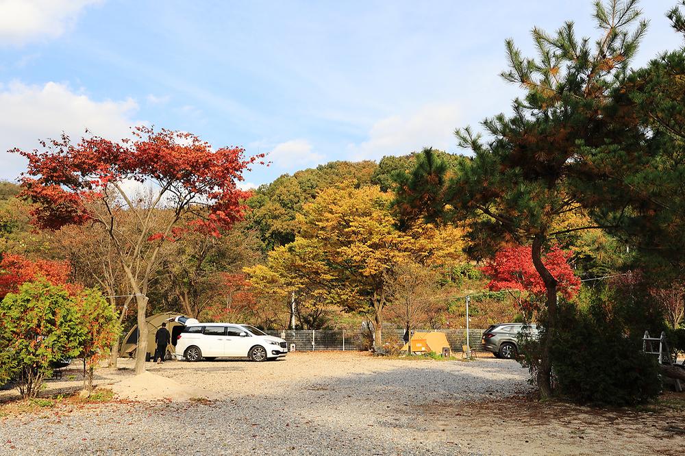 달사랑 캠핑장