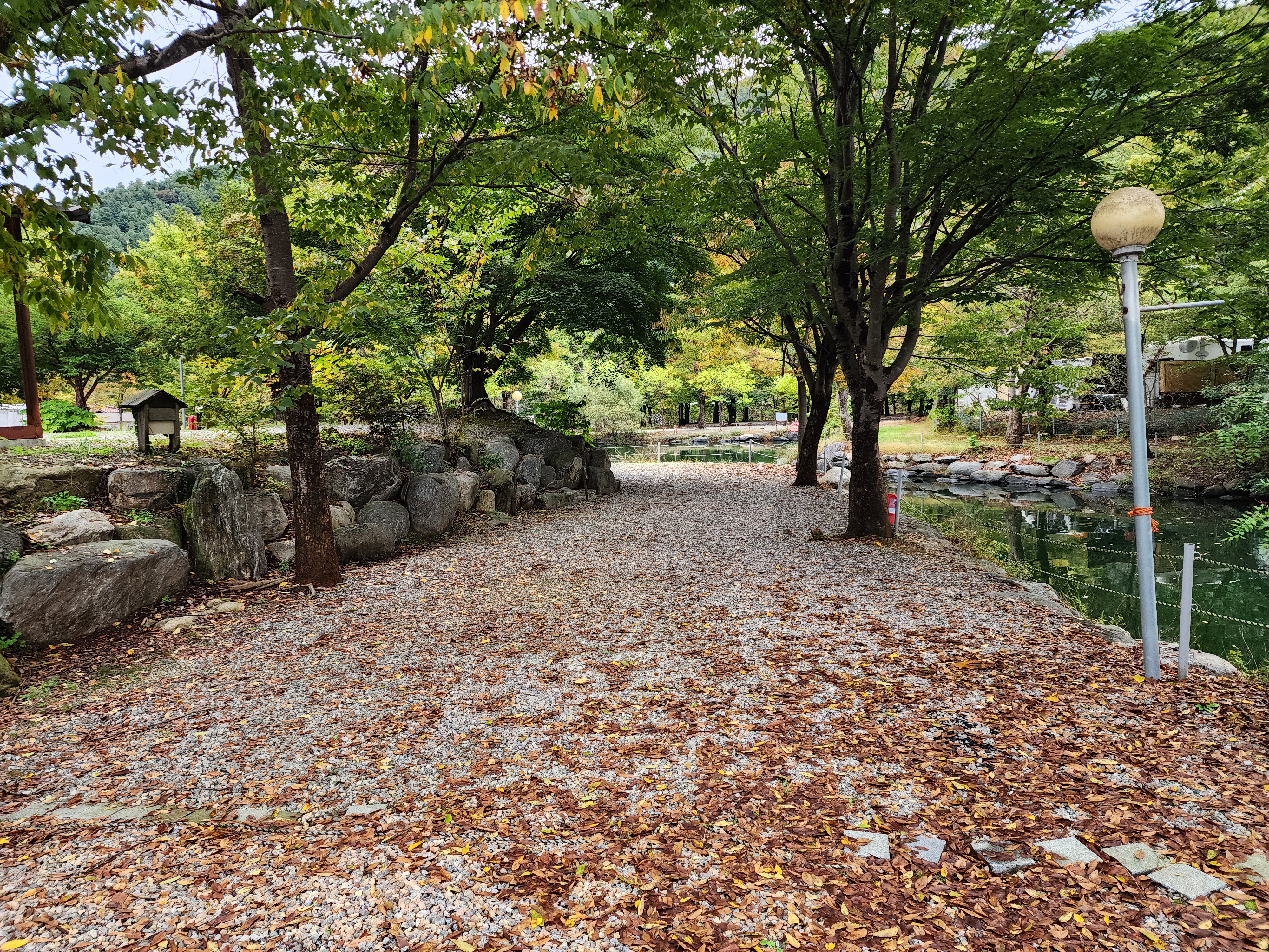 유명산밸리 캠핑장 25번째 이미지
