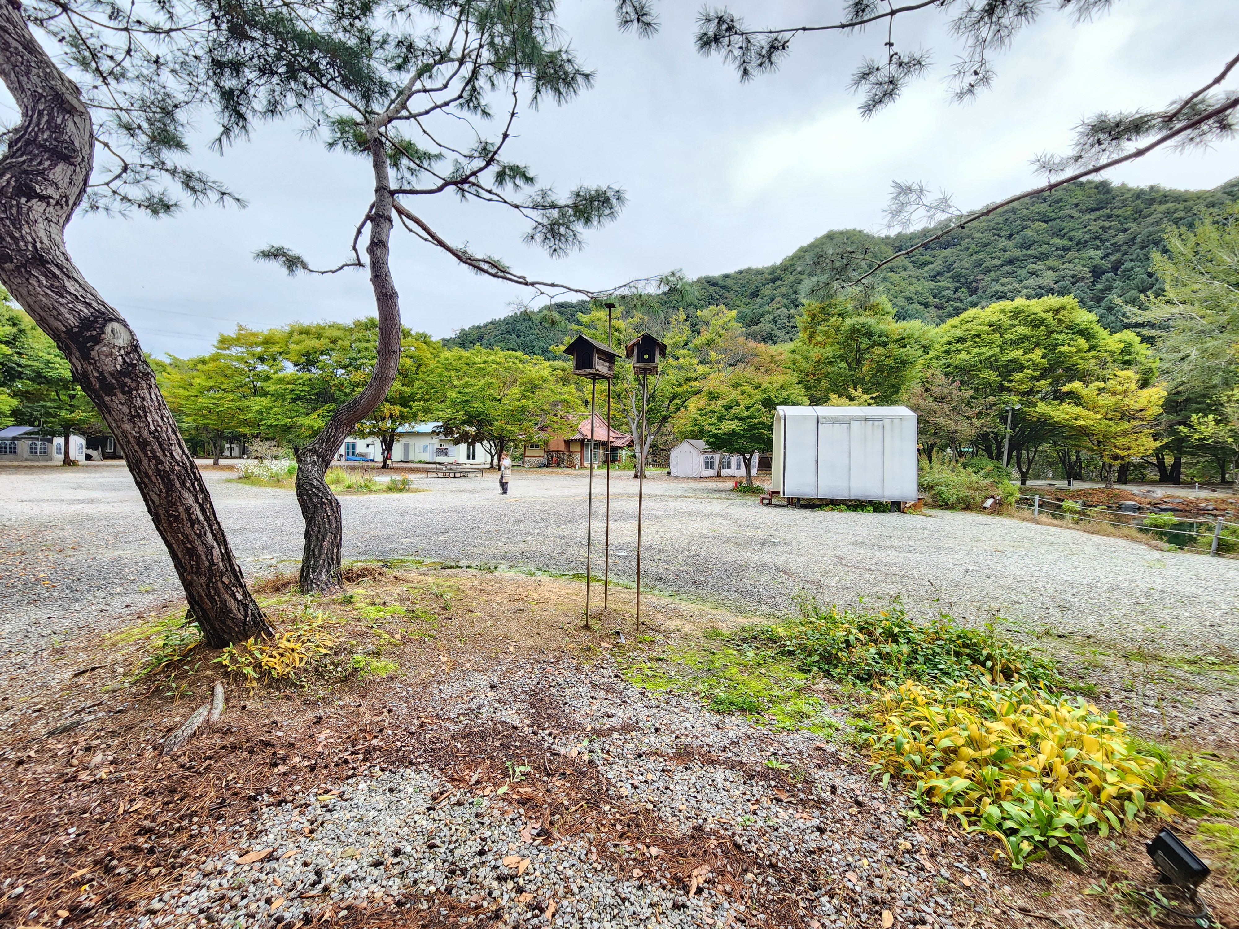 유명산밸리 캠핑장 33번째 이미지