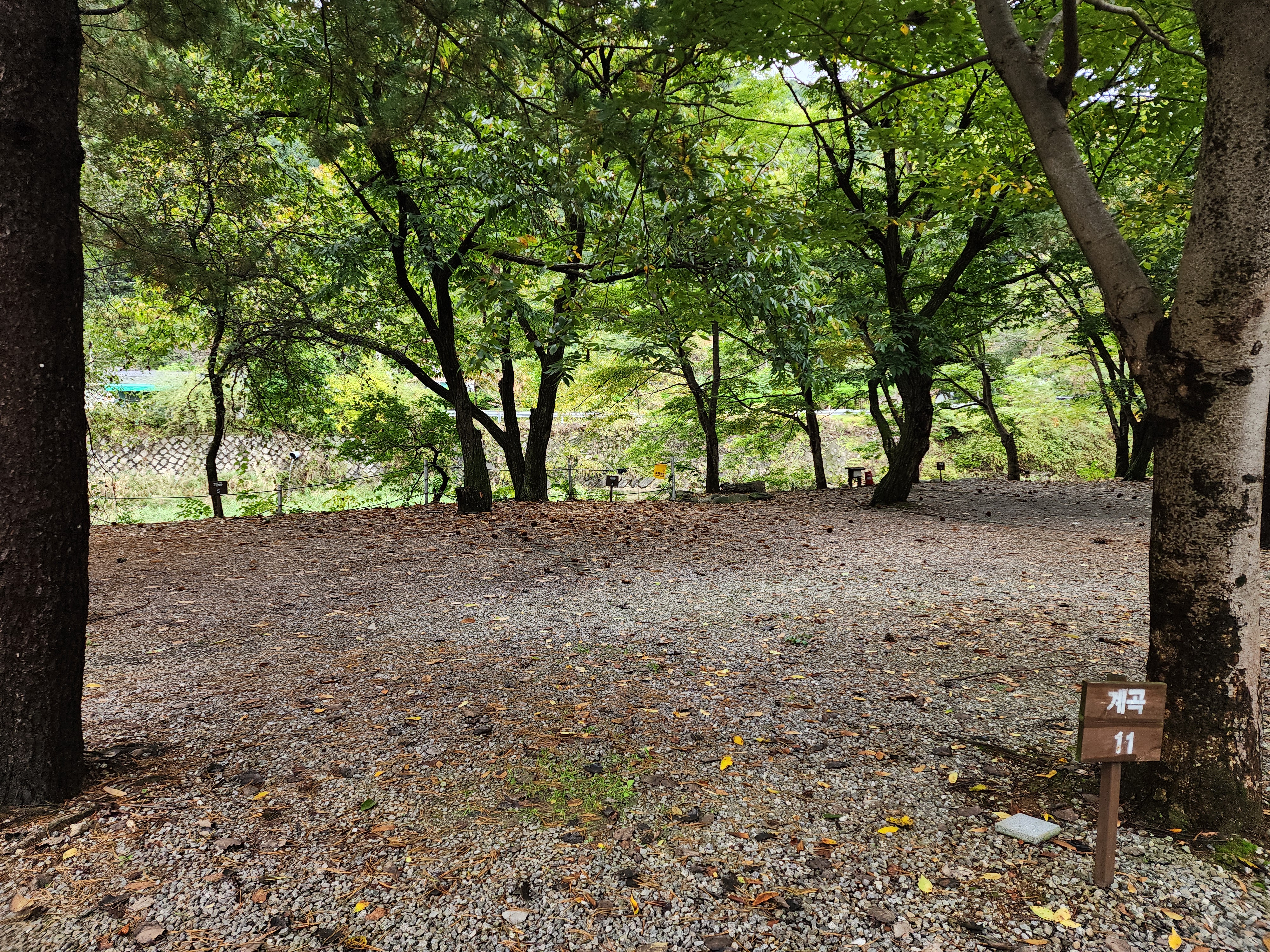 유명산밸리 캠핑장 18번째 이미지