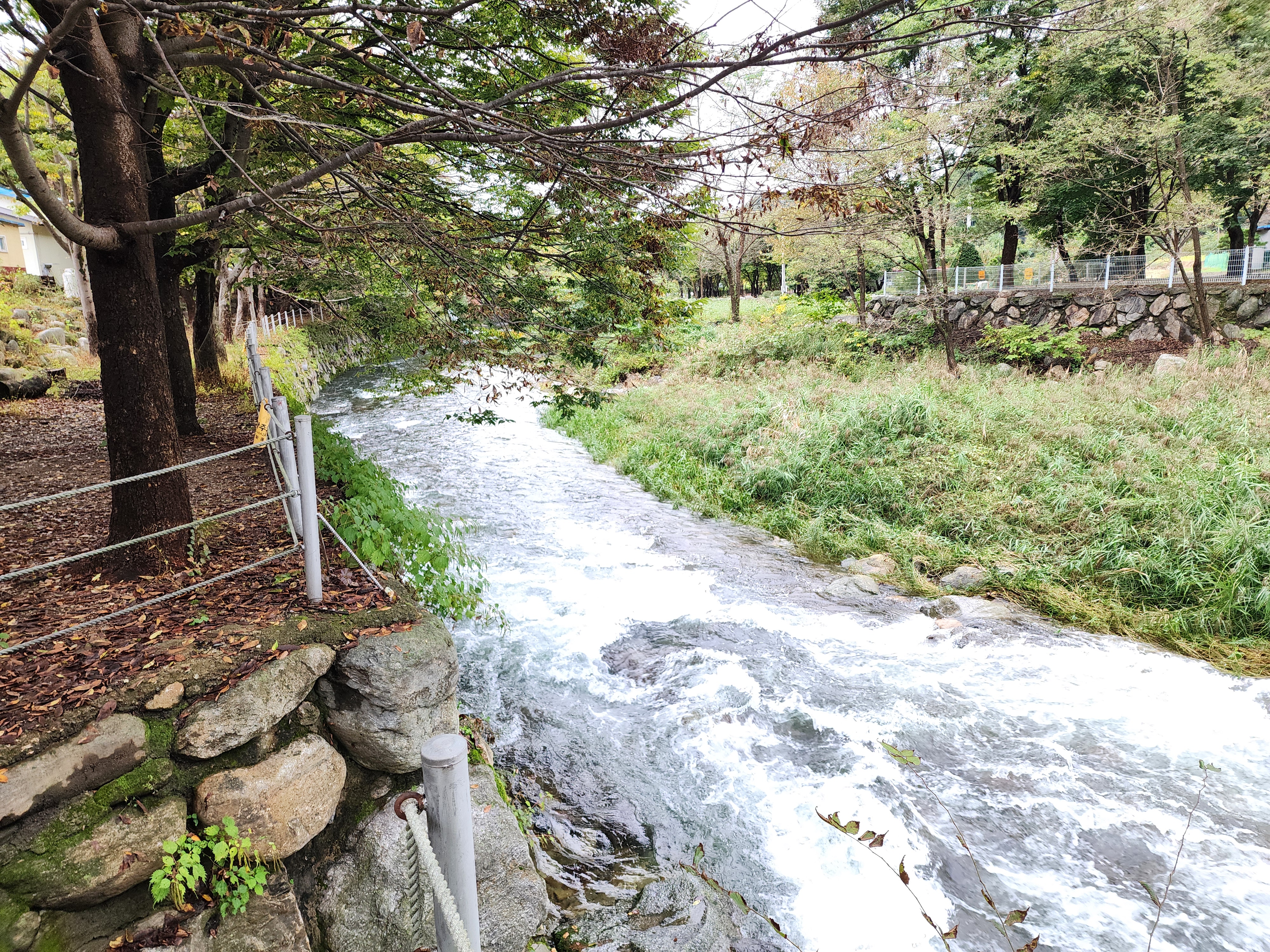 유명산밸리 캠핑장 17번째 이미지
