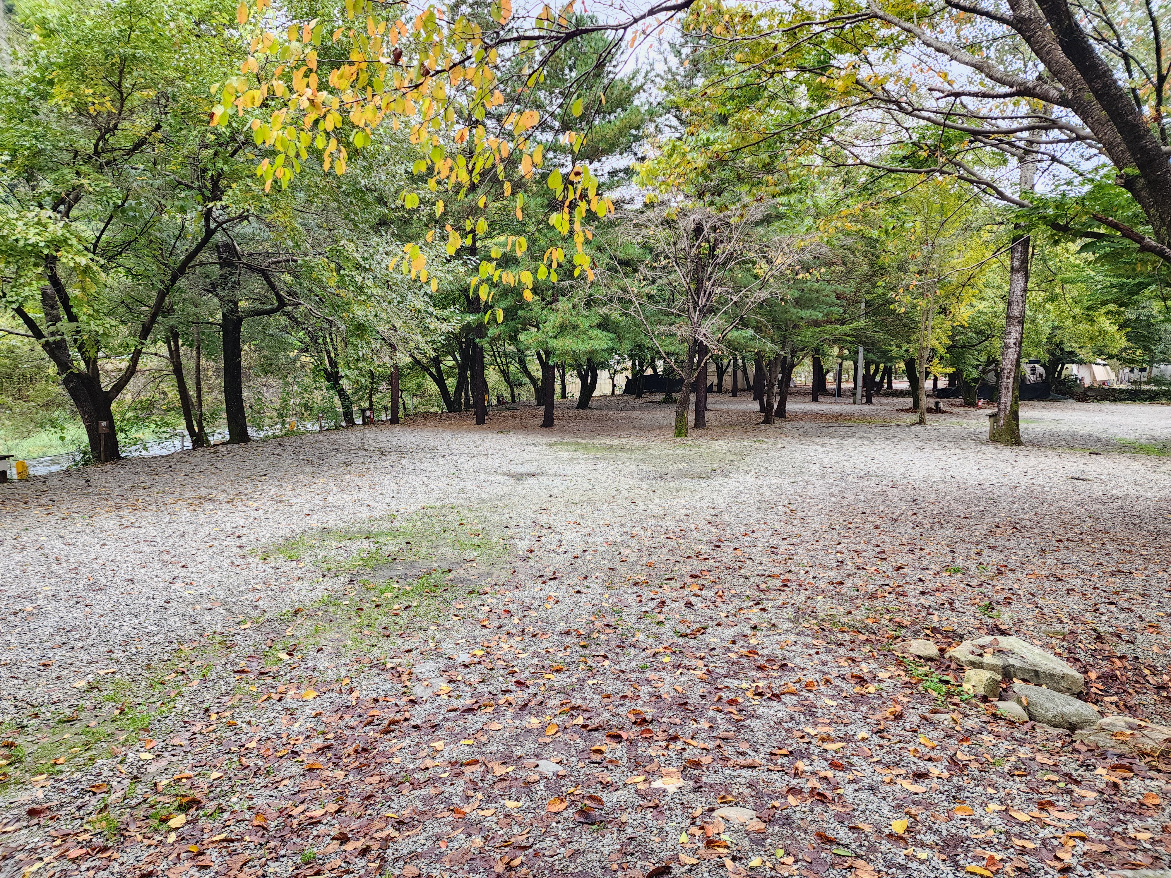 유명산밸리 캠핑장 14번째 이미지