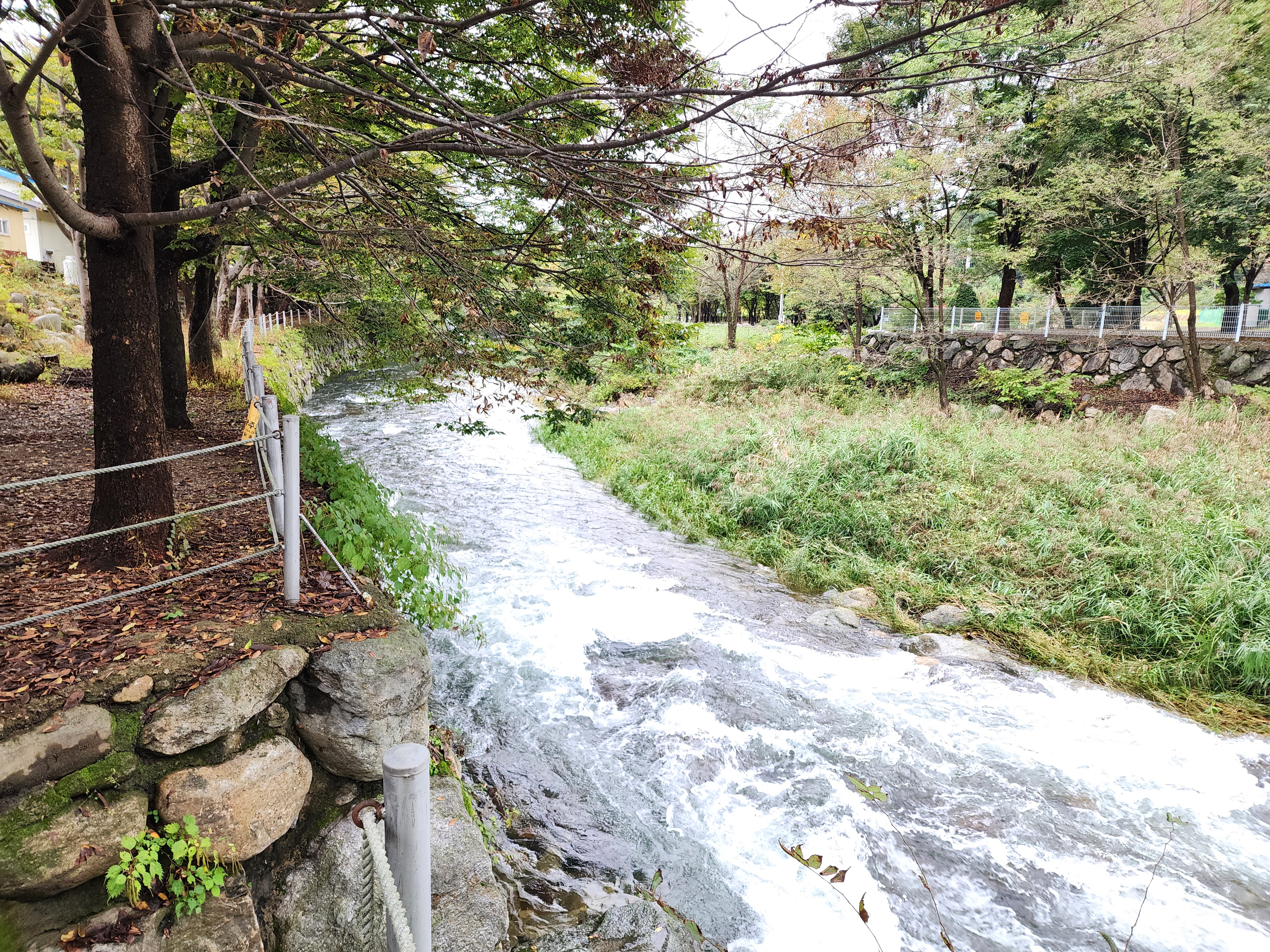 유명산밸리 캠핑장 16번째 이미지