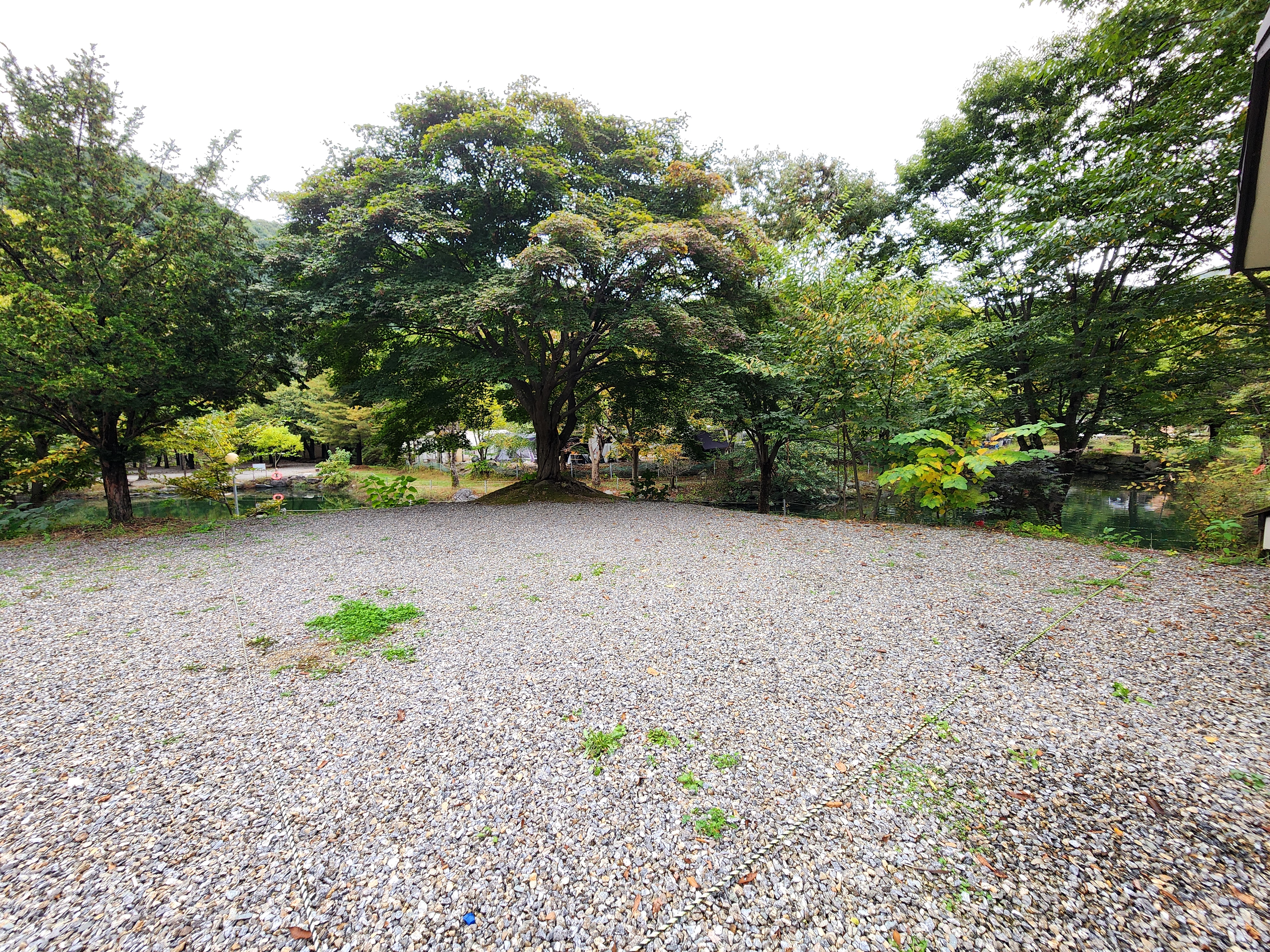 유명산밸리 캠핑장 28번째 이미지