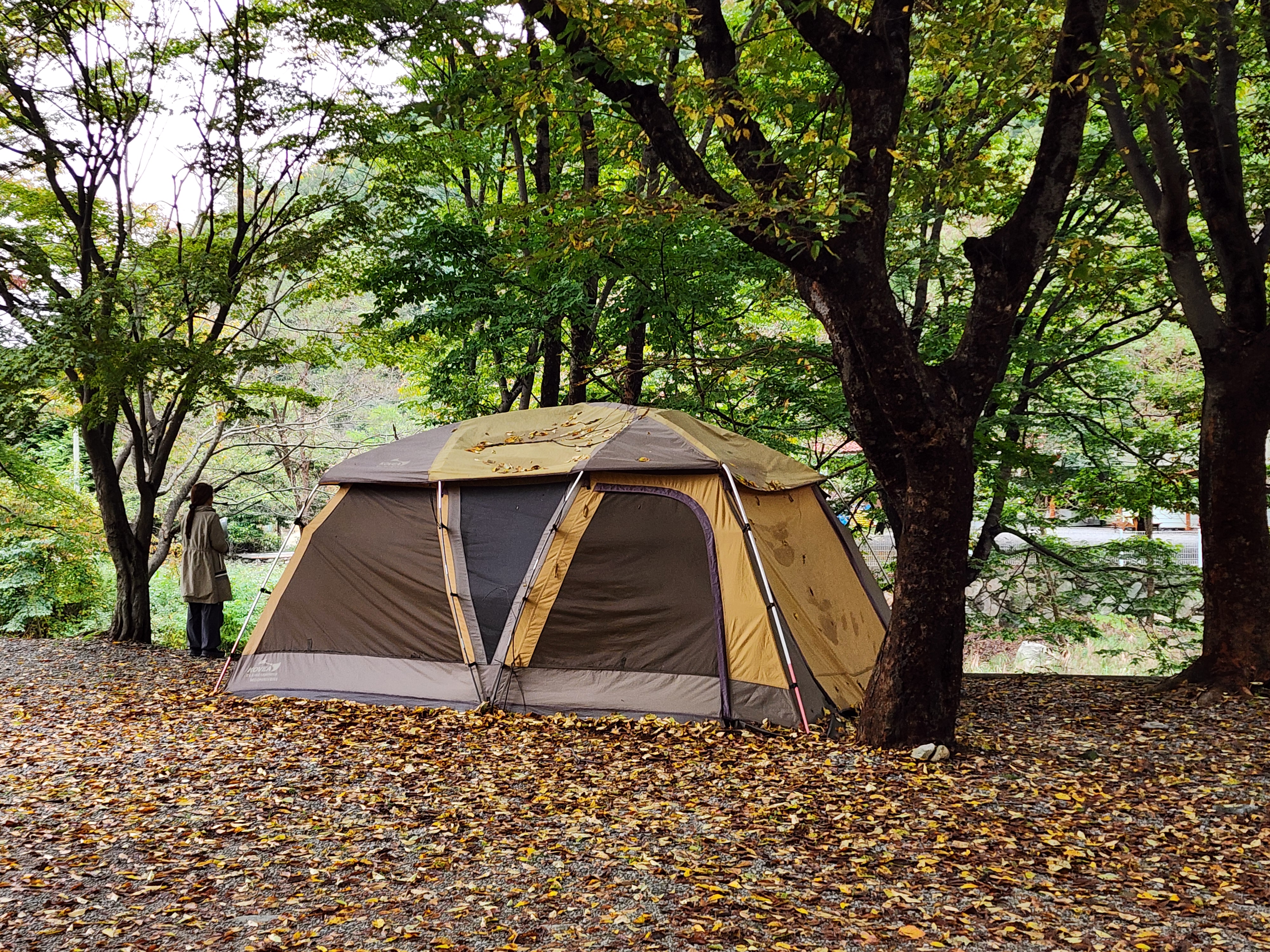 유명산밸리 캠핑장 37번째 이미지