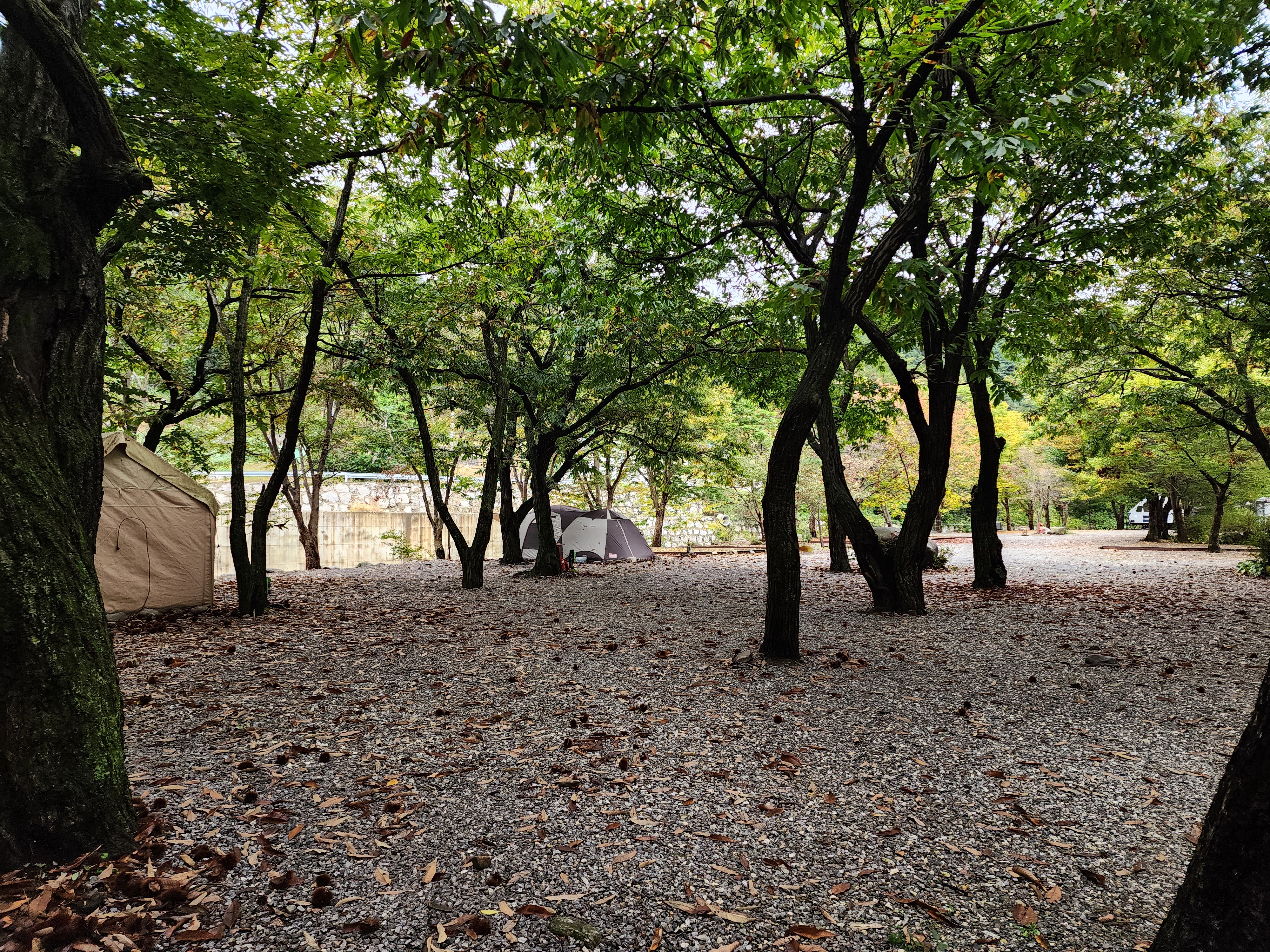 유명산밸리 캠핑장 21번째 이미지