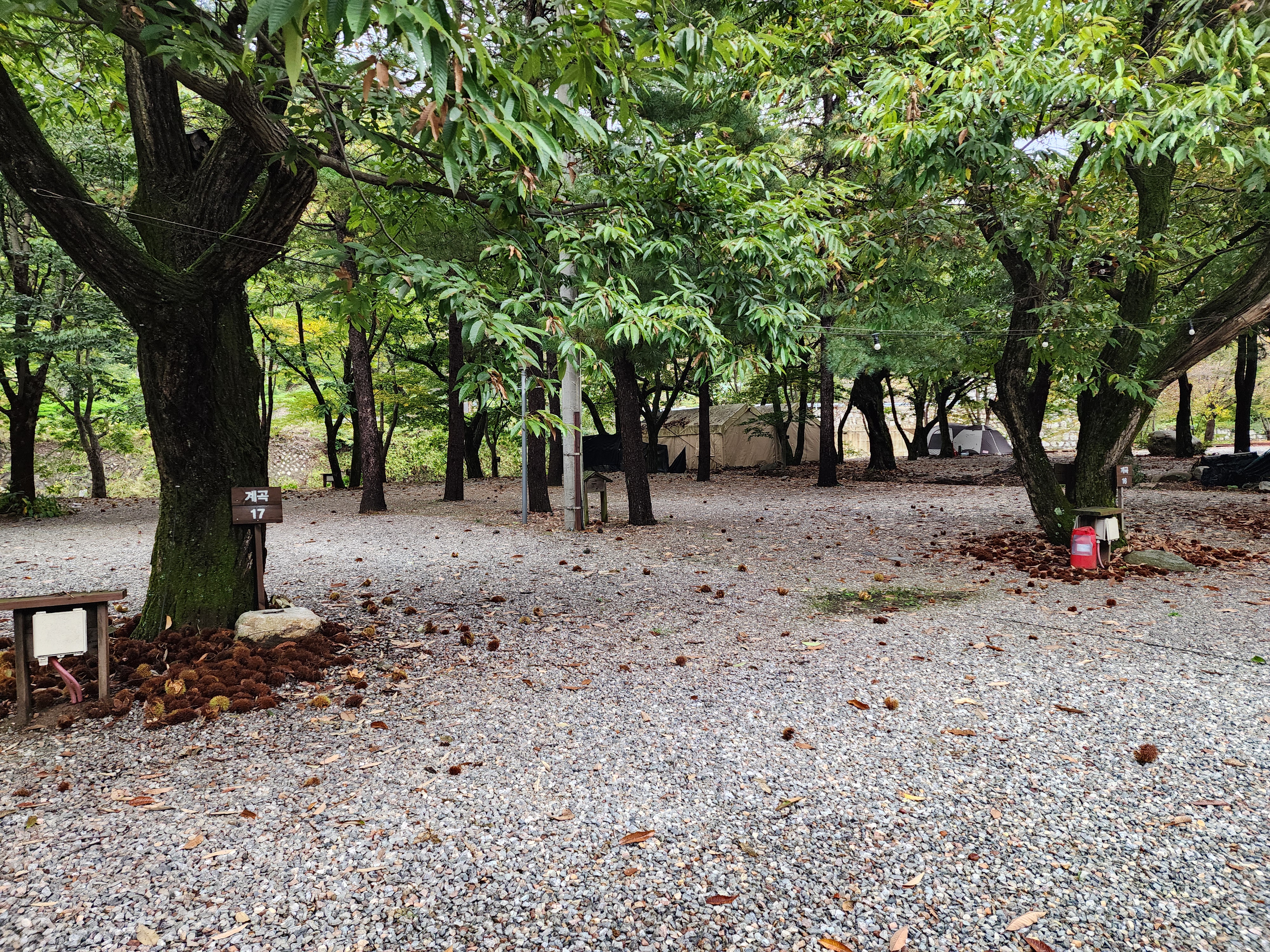 유명산밸리 캠핑장 20번째 이미지