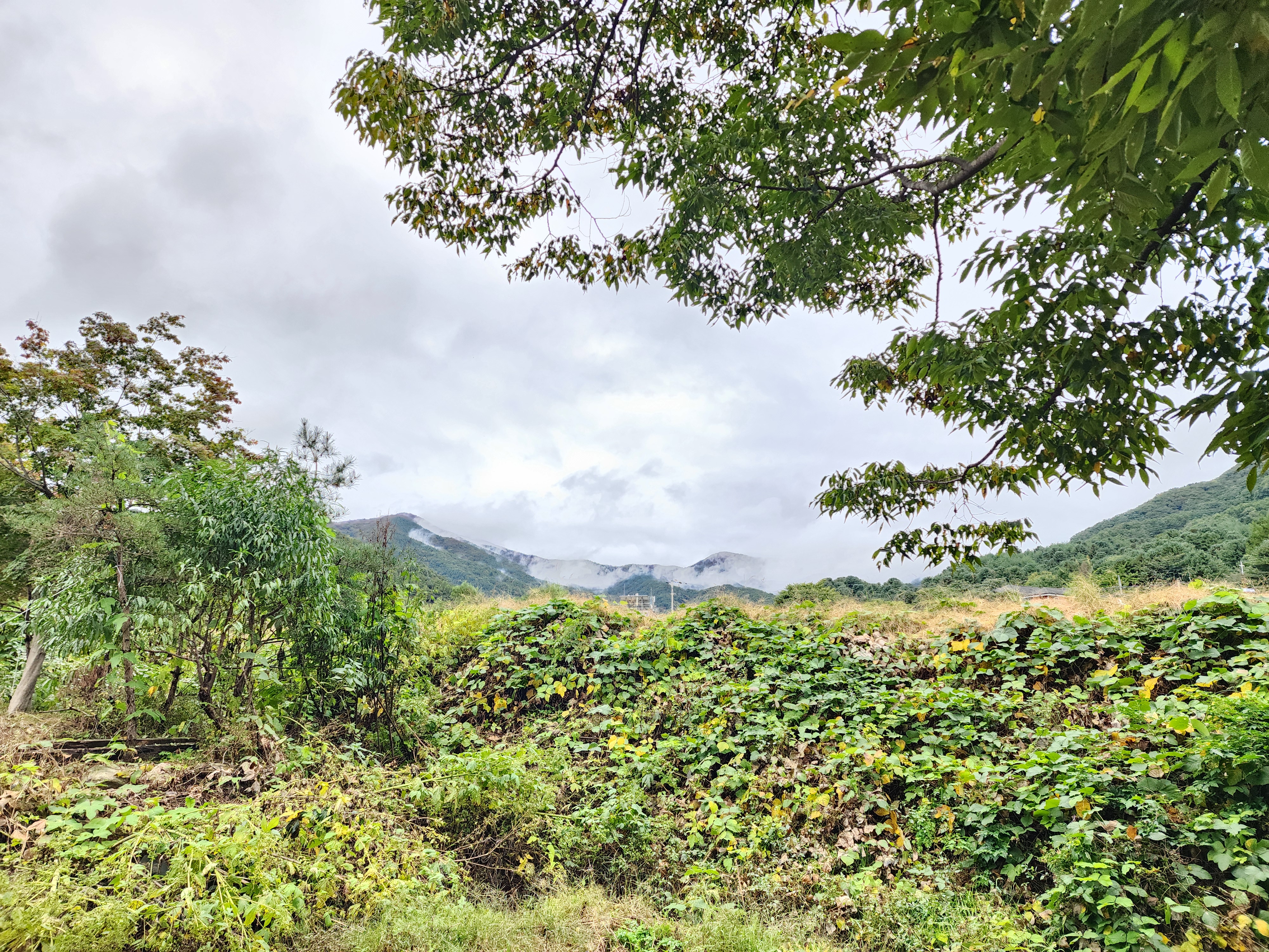 유명산밸리 캠핑장 24번째 이미지