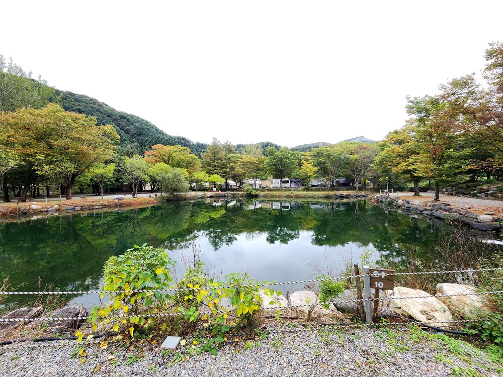 유명산밸리 캠핑장