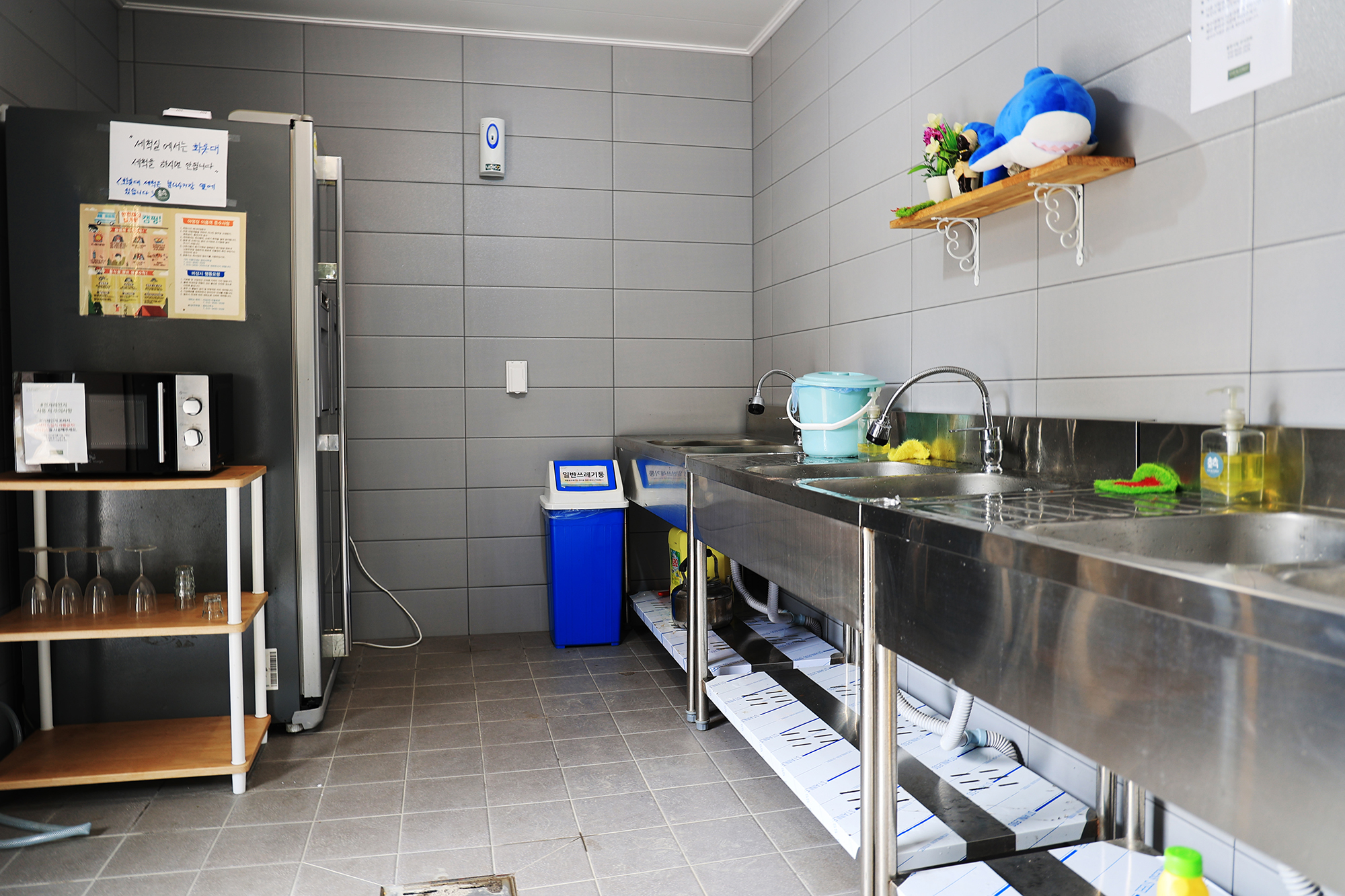 숲속에 머물다 이미지