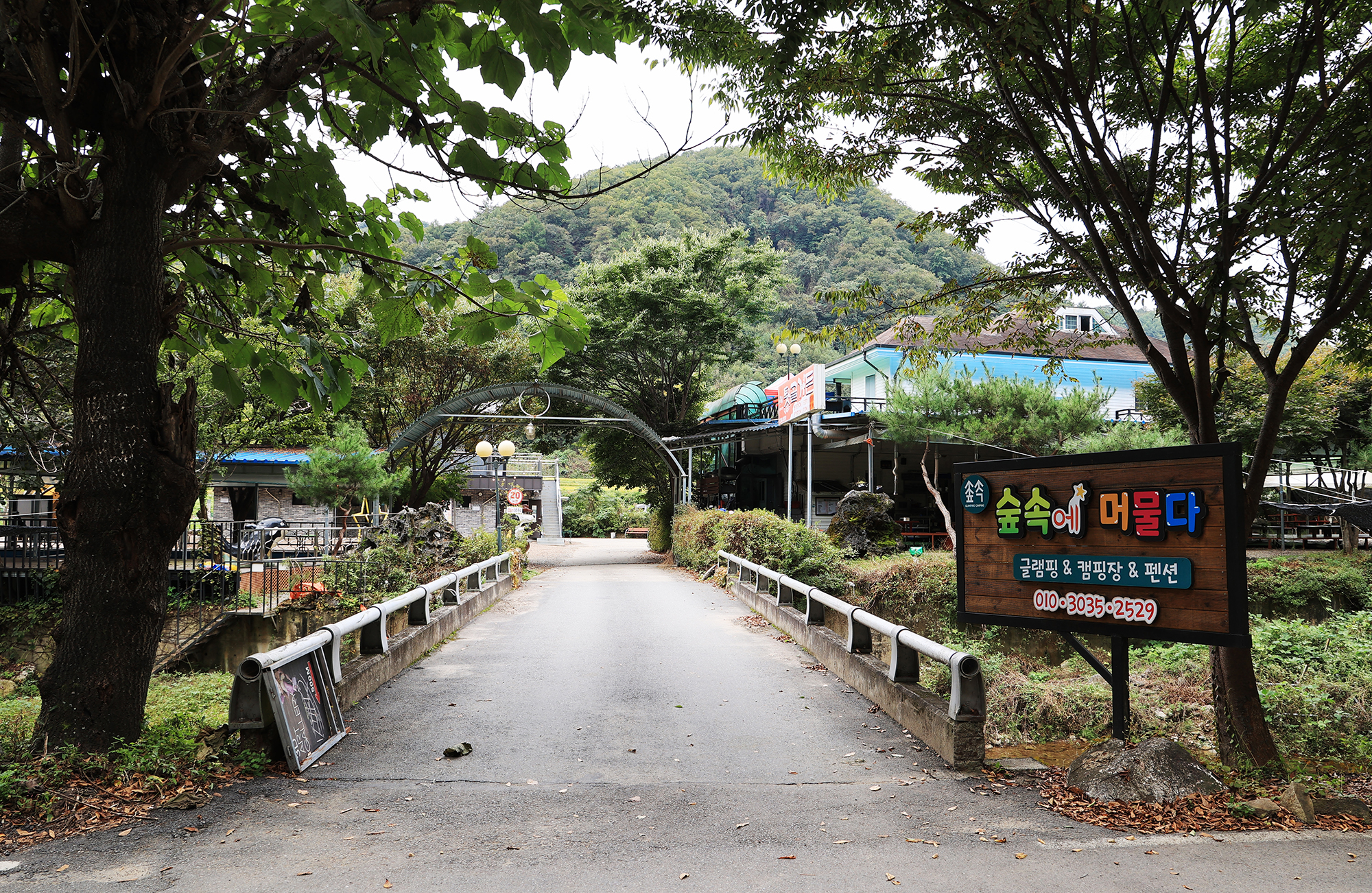 숲속에 머물다 이미지