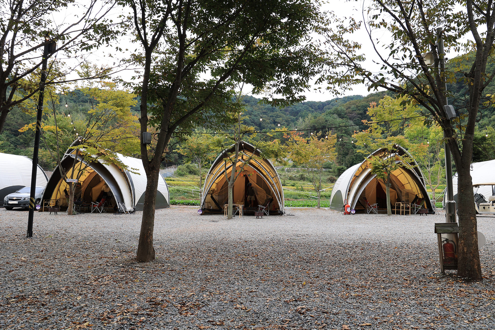 숲속에 머물다 이미지