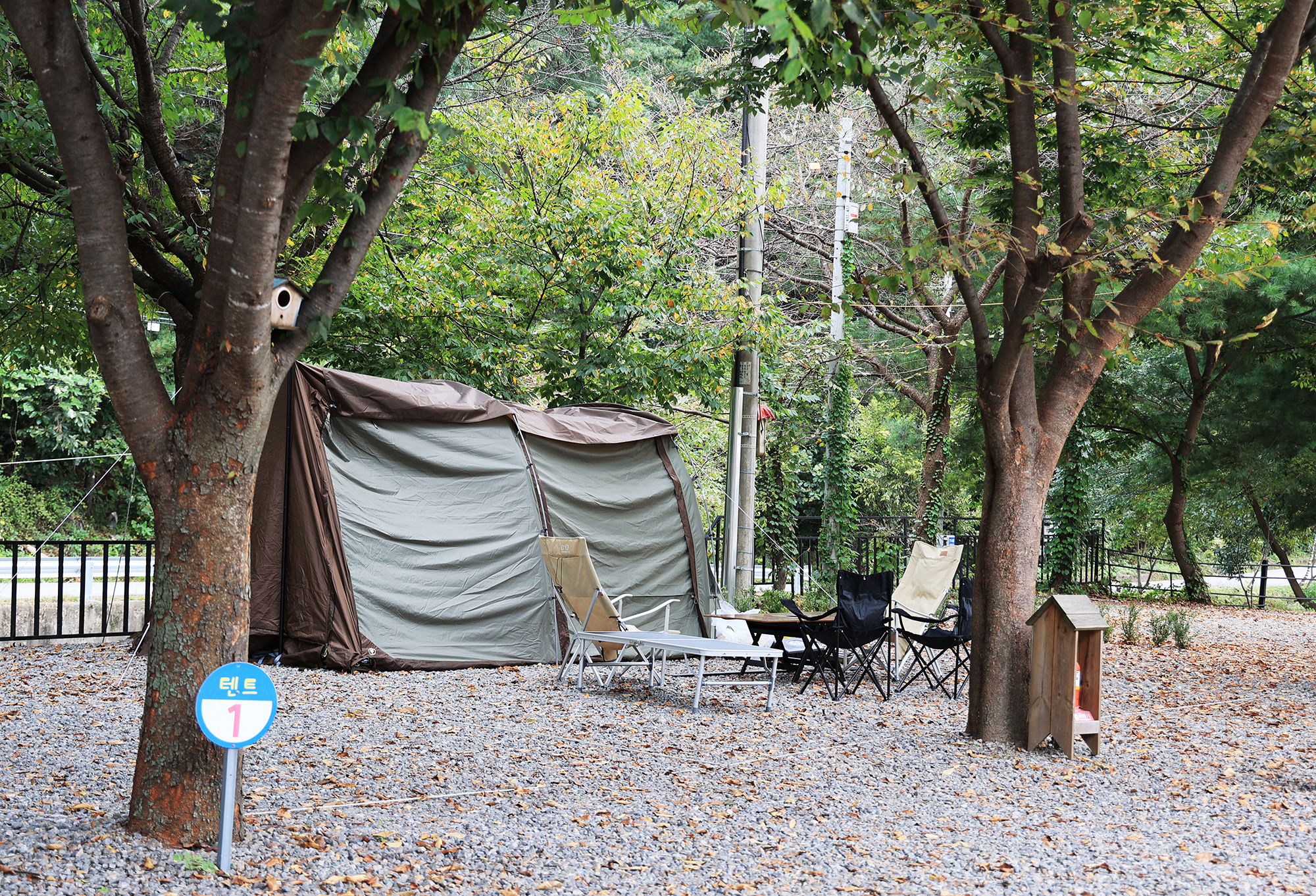 숲속에 머물다 이미지