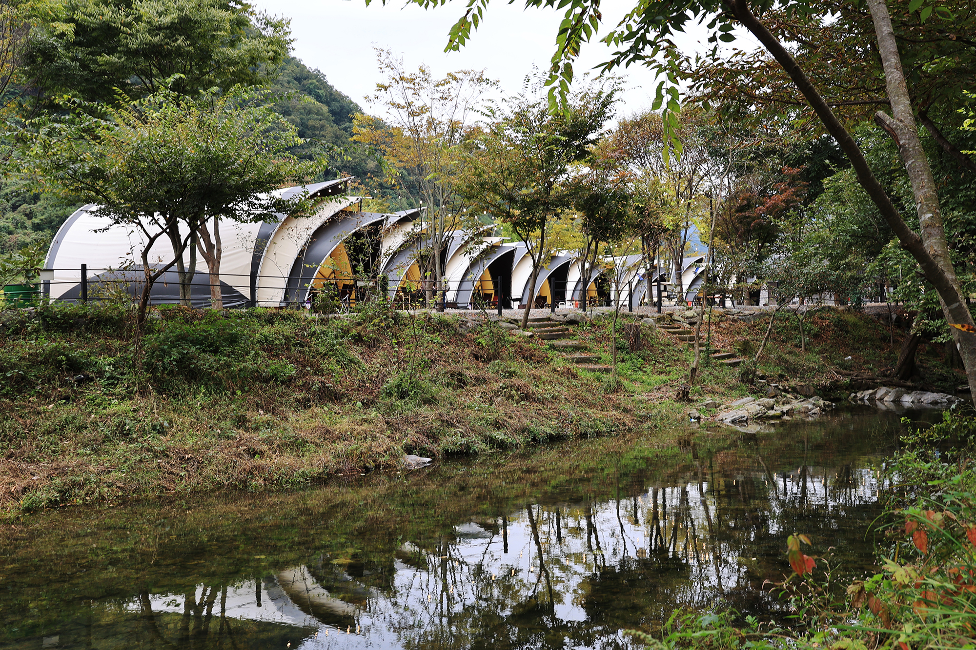 숲속에 머물다 이미지