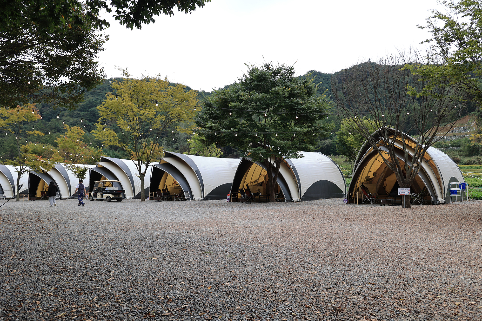 숲속에 머물다 이미지