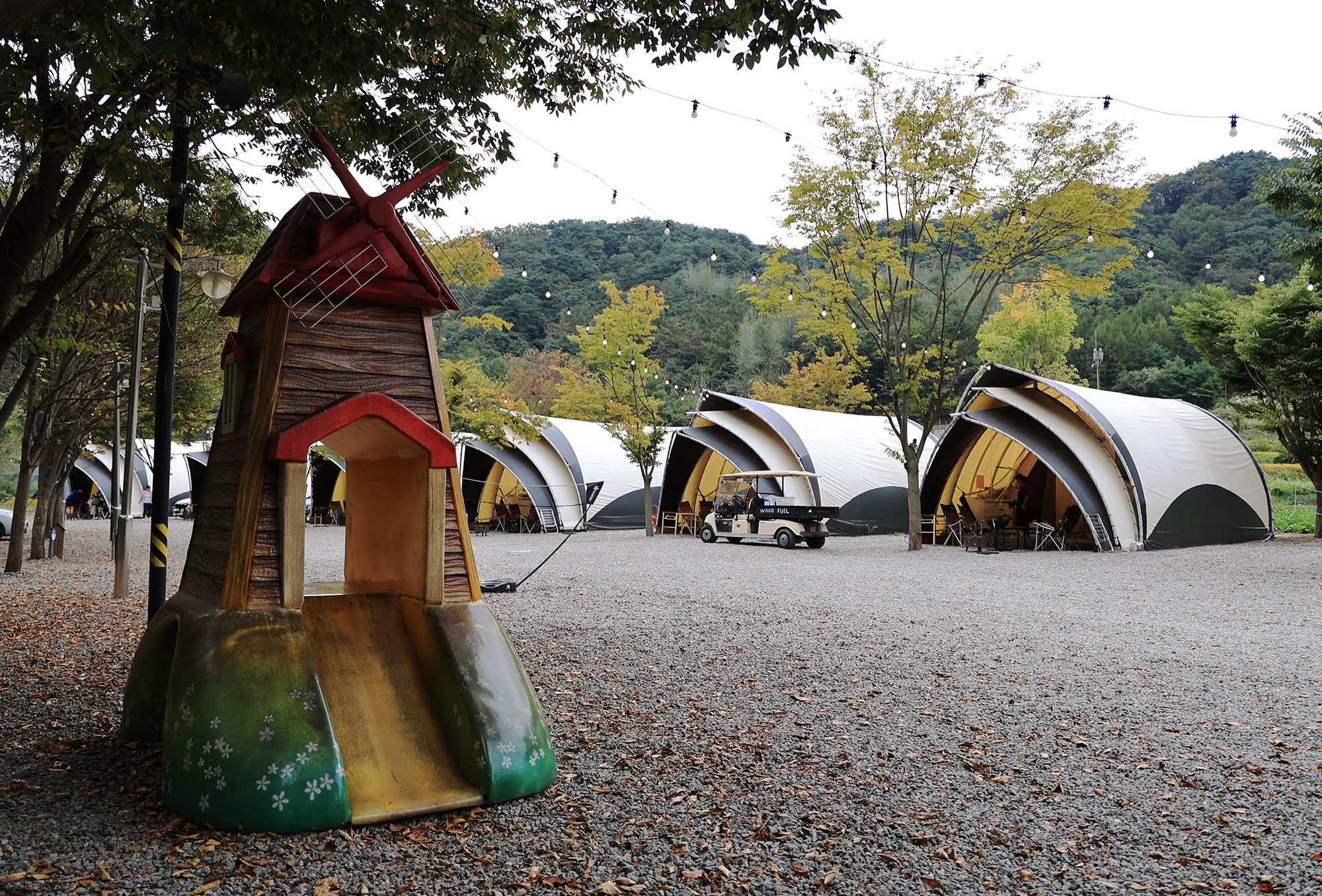 숲속에 머물다 이미지