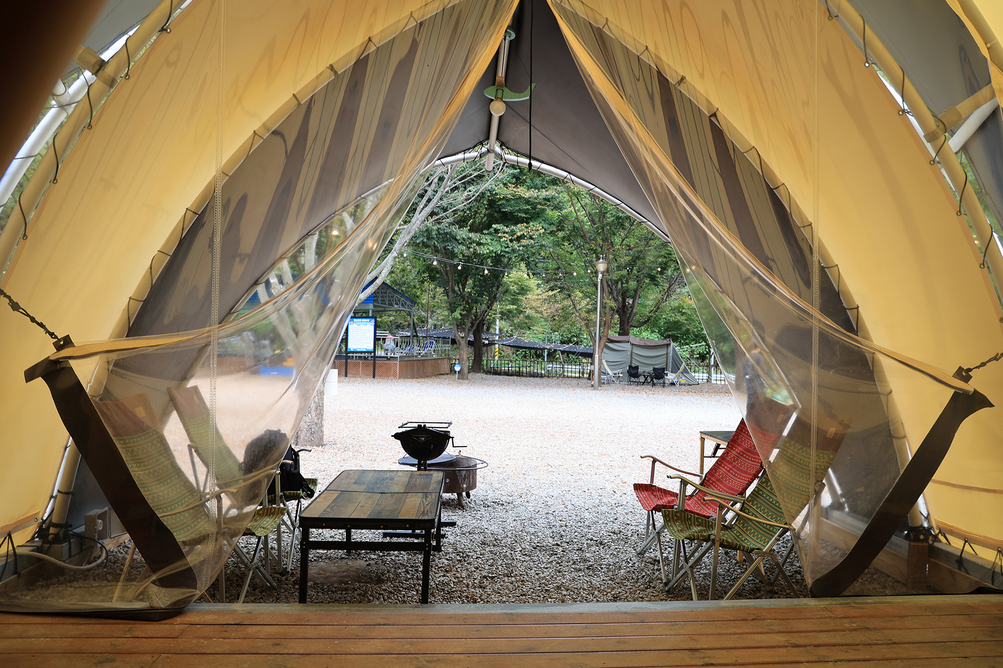 숲속에 머물다 이미지