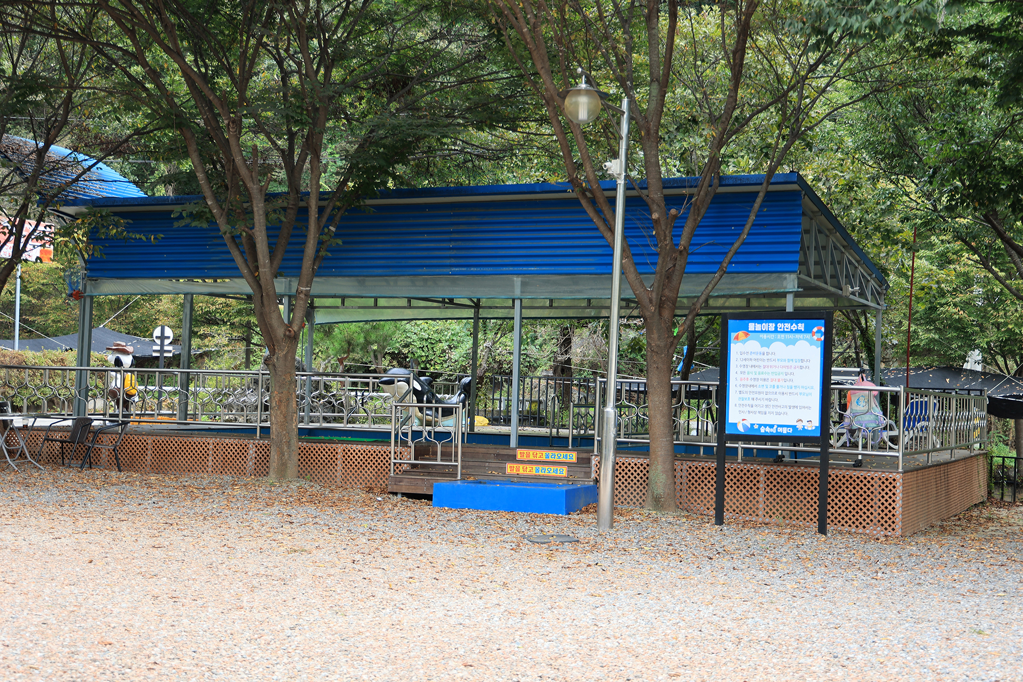 숲속에 머물다 이미지