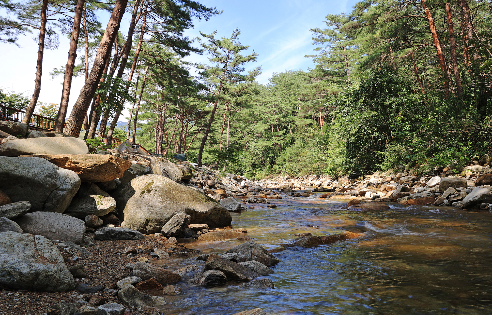 캠프 오어즈 이미지