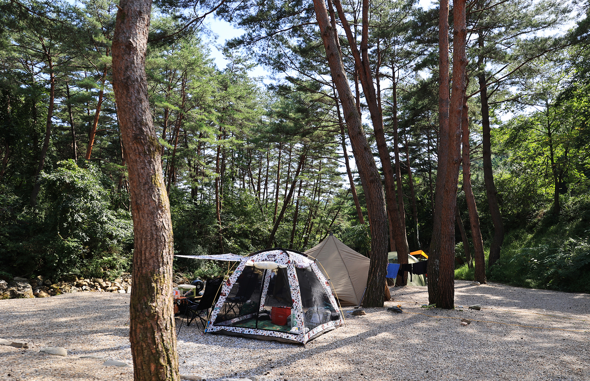 캠프 오어즈 이미지