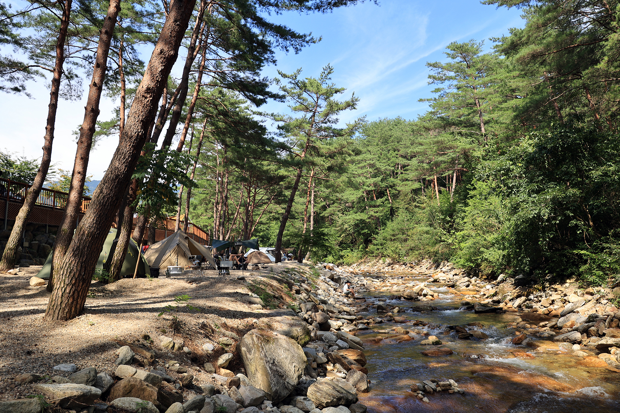 캠프 오어즈 이미지