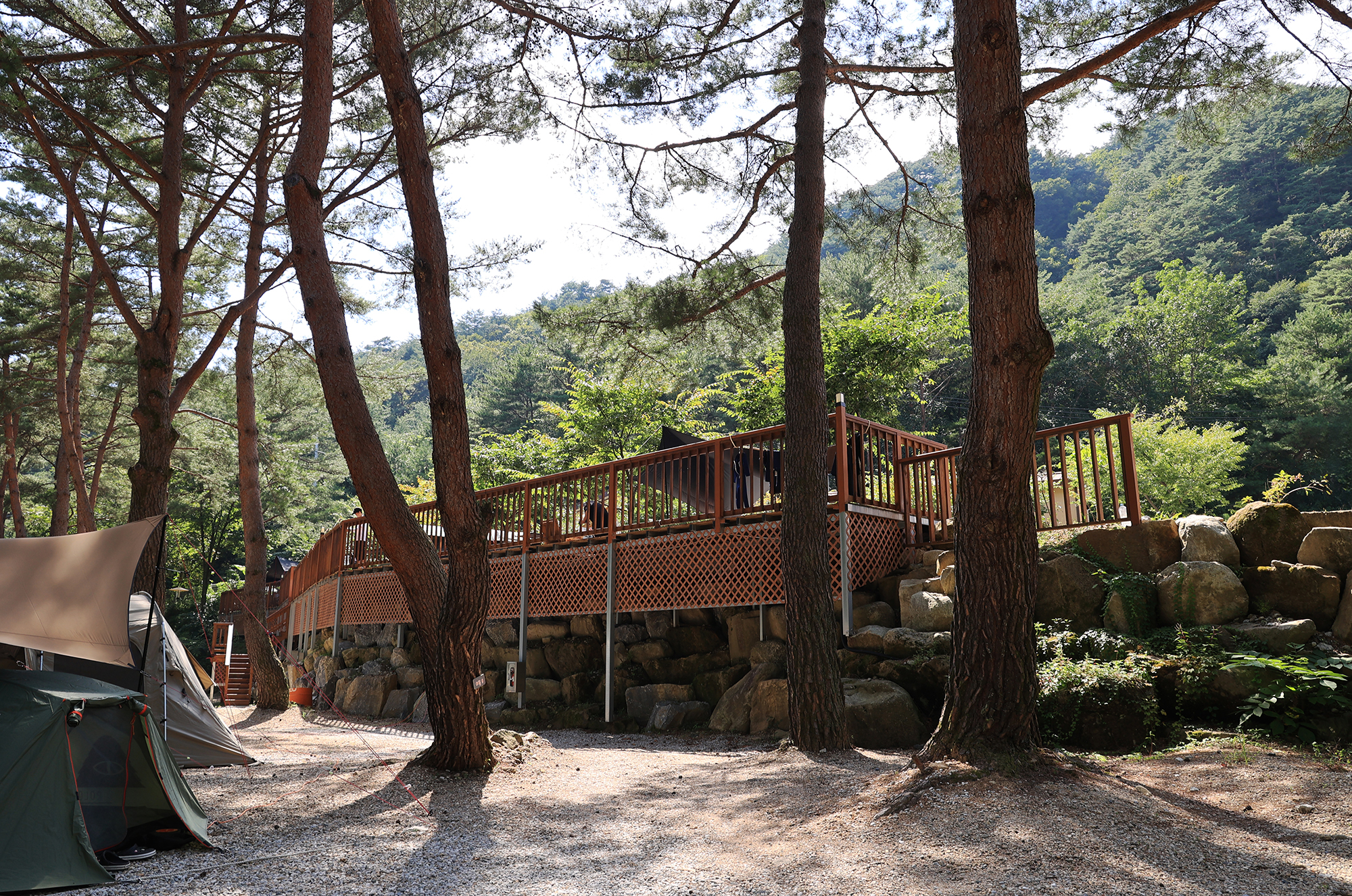 캠프 오어즈 이미지