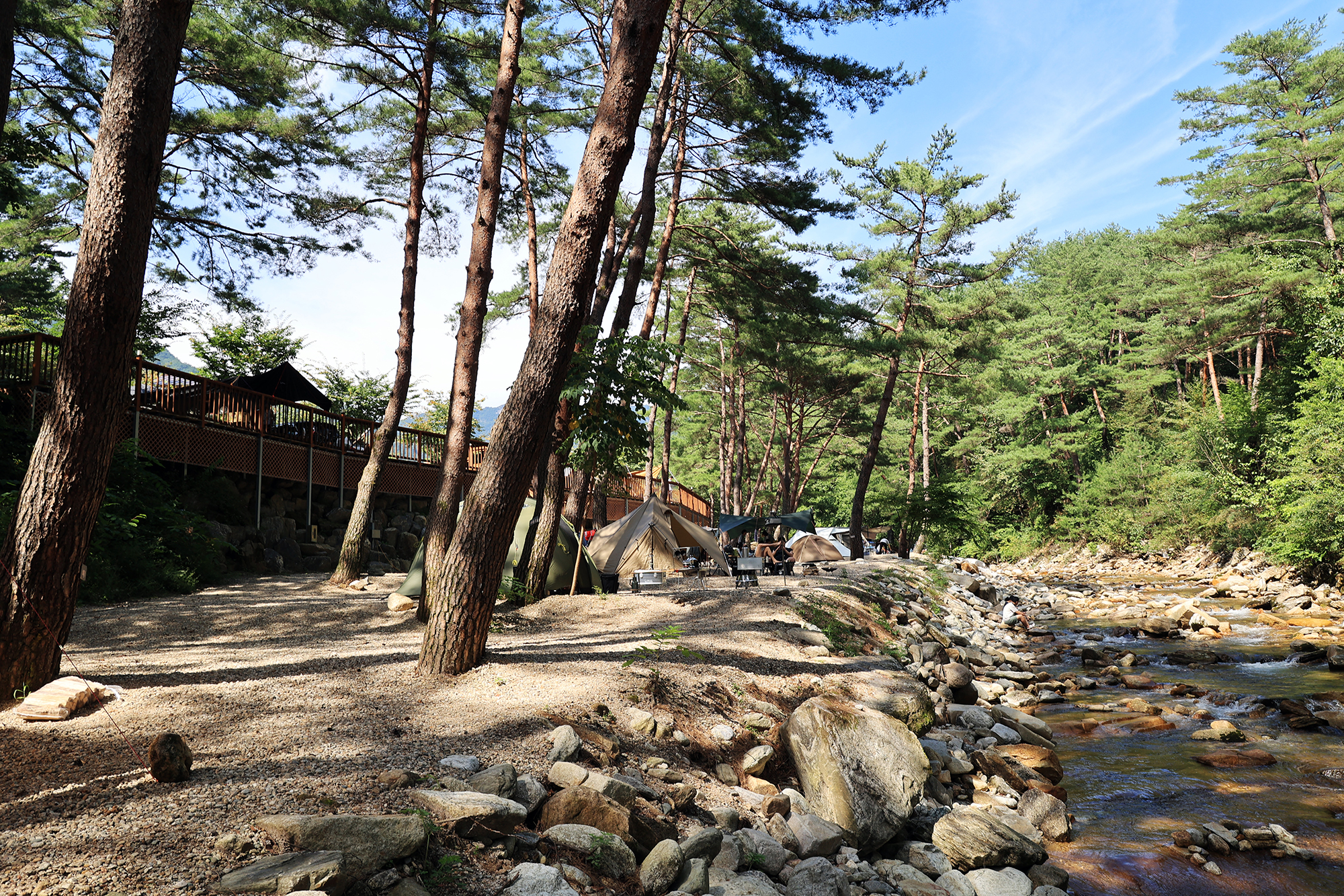 캠프 오어즈 이미지